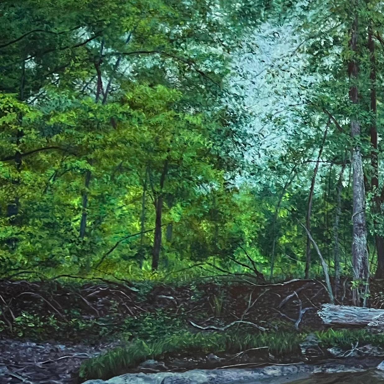 Fiducia in caduta (dipinto a olio di due giovani donne in mezzo a un paesaggio boscoso in estate)
olio su pannello, senza cornice
24 x 36 pollici

Ambientati a nord di New York - o in un paesaggio immaginario che ricorda la regione - i dipinti di