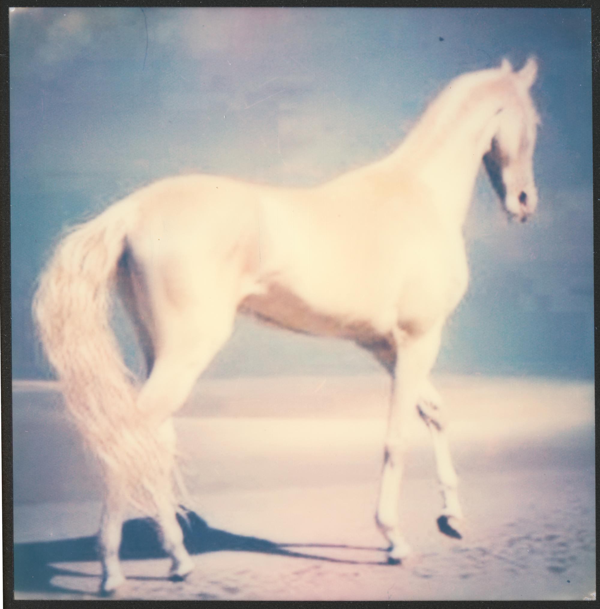 ANONYMOUS Color Photograph - Pegasus