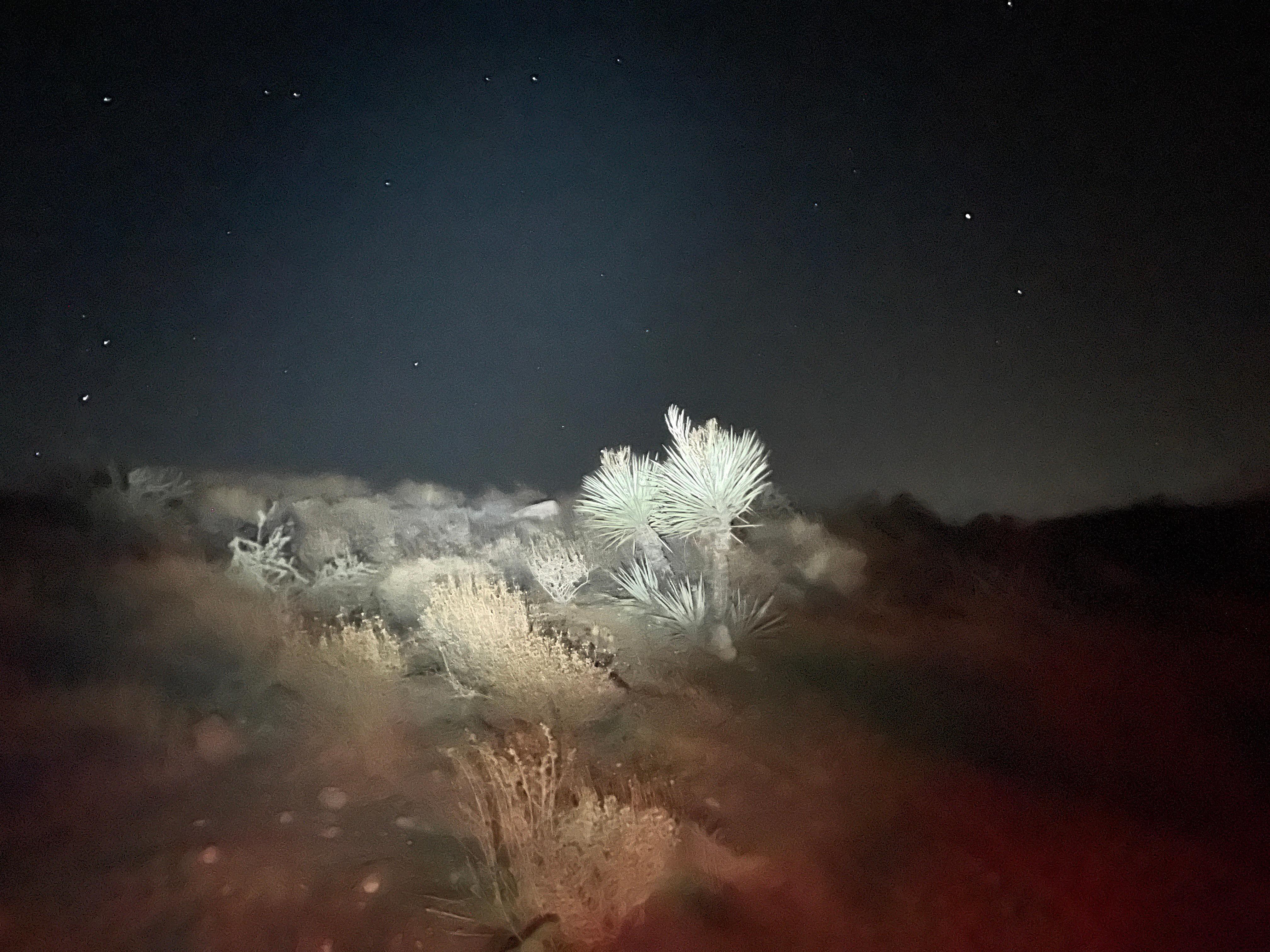 ANONYMOUS Landscape Photograph - The Stars above (Life on Mars)