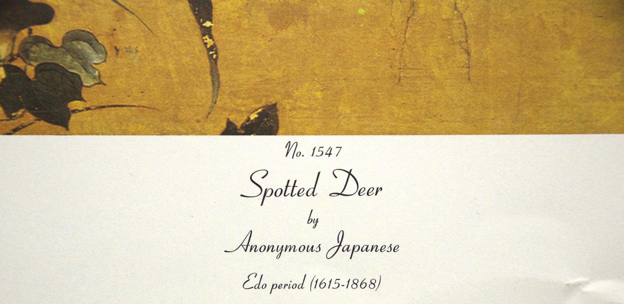 anonymous in japanese
