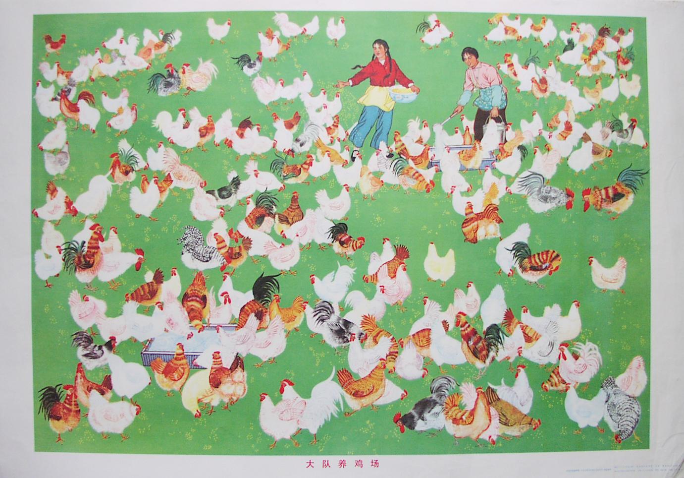 Unknown Animal Print - Brigade Chicken Farm, 1973.