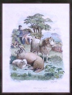 Mouton