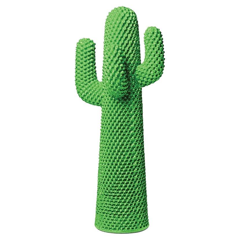 Another Green Cactus