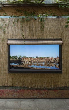 Un'altra vista n. 24 Botswana da un Hiden In natura a Mashatu