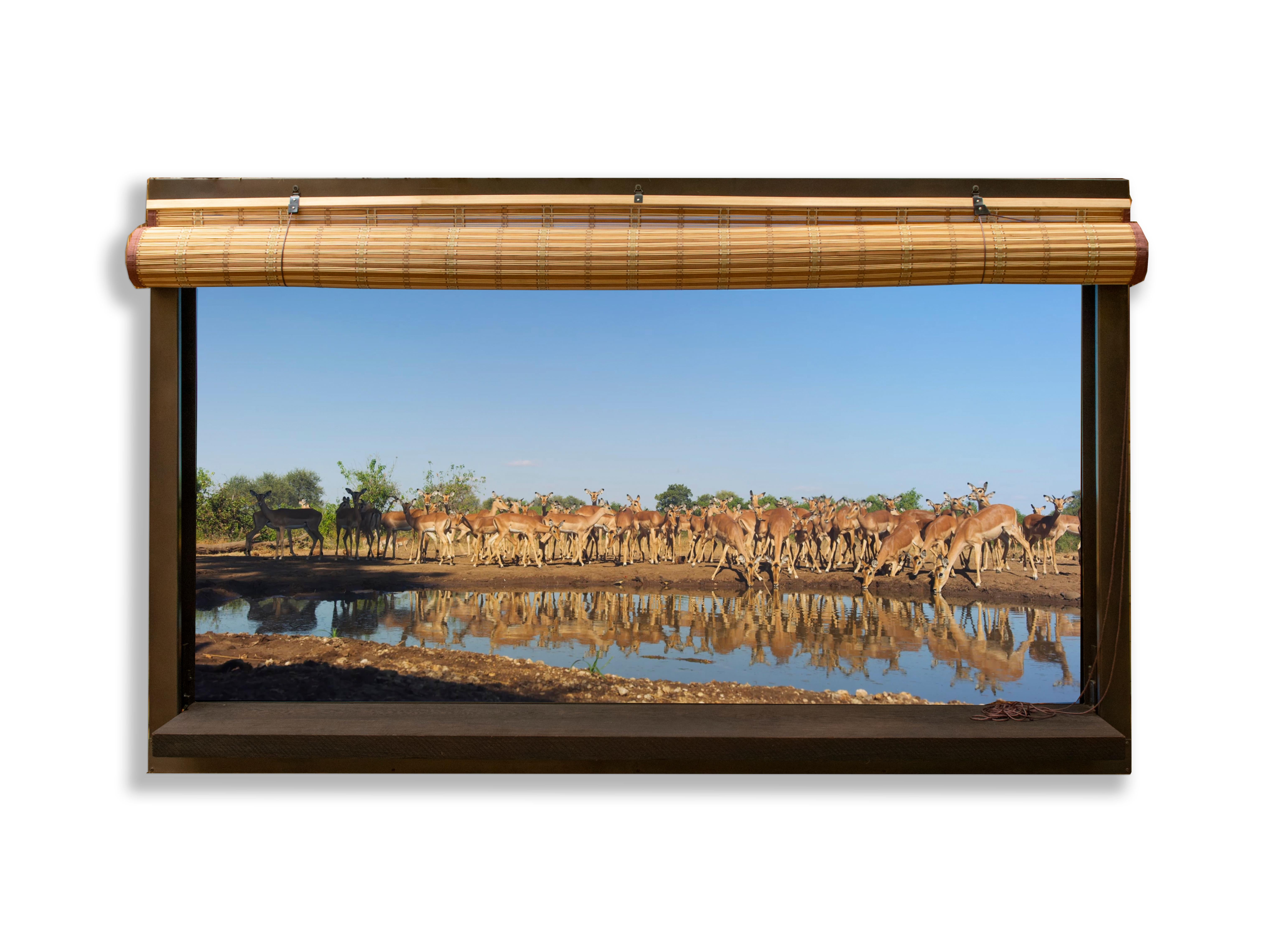 Anotherview No 24 Botsuana desde un Hiden En estado salvaje en Mashatu Italiano en venta