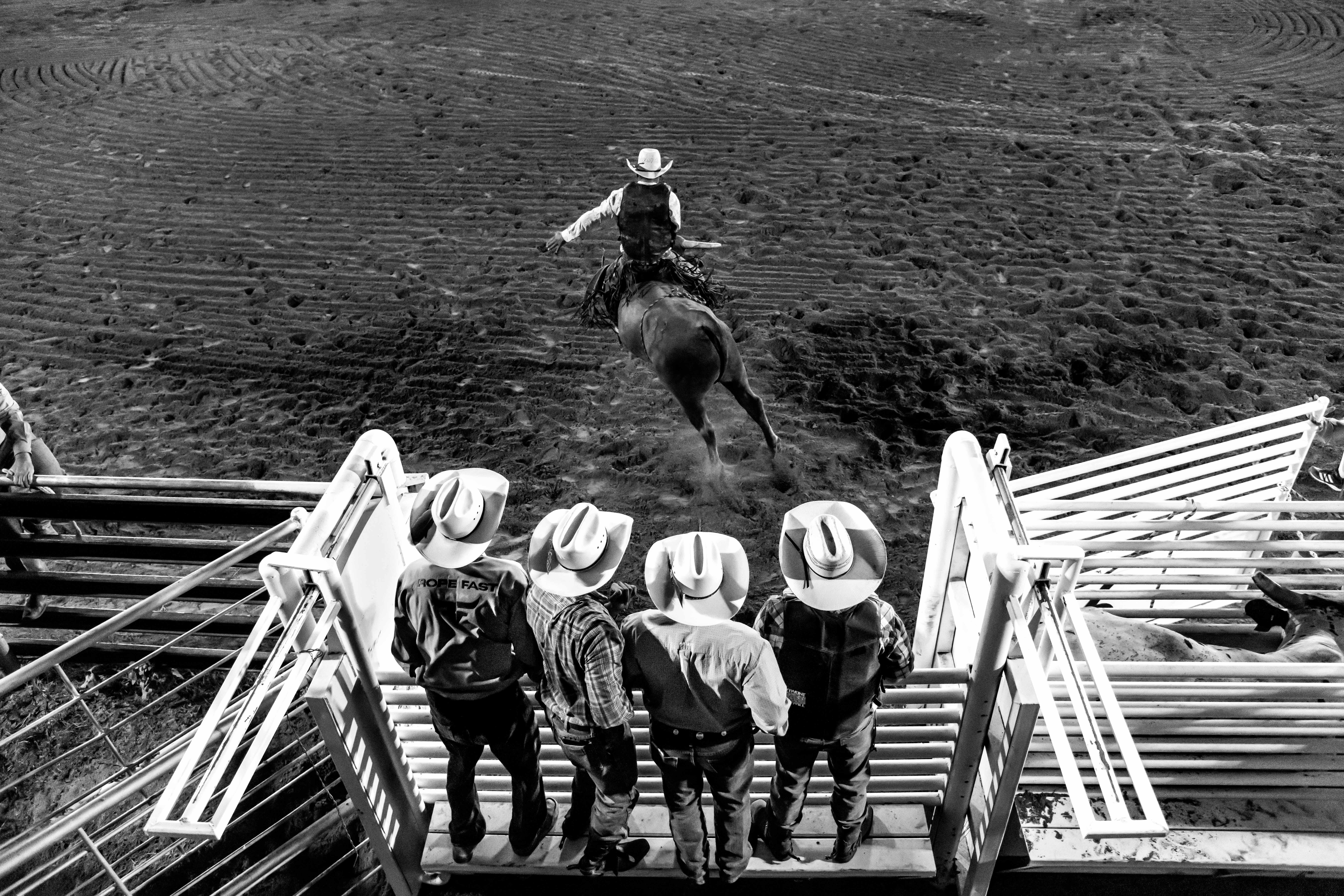 Anouk Krantz Black and White Photograph - Bull Rider