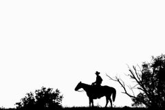 Lone Star II von Anouk Krantz 2018