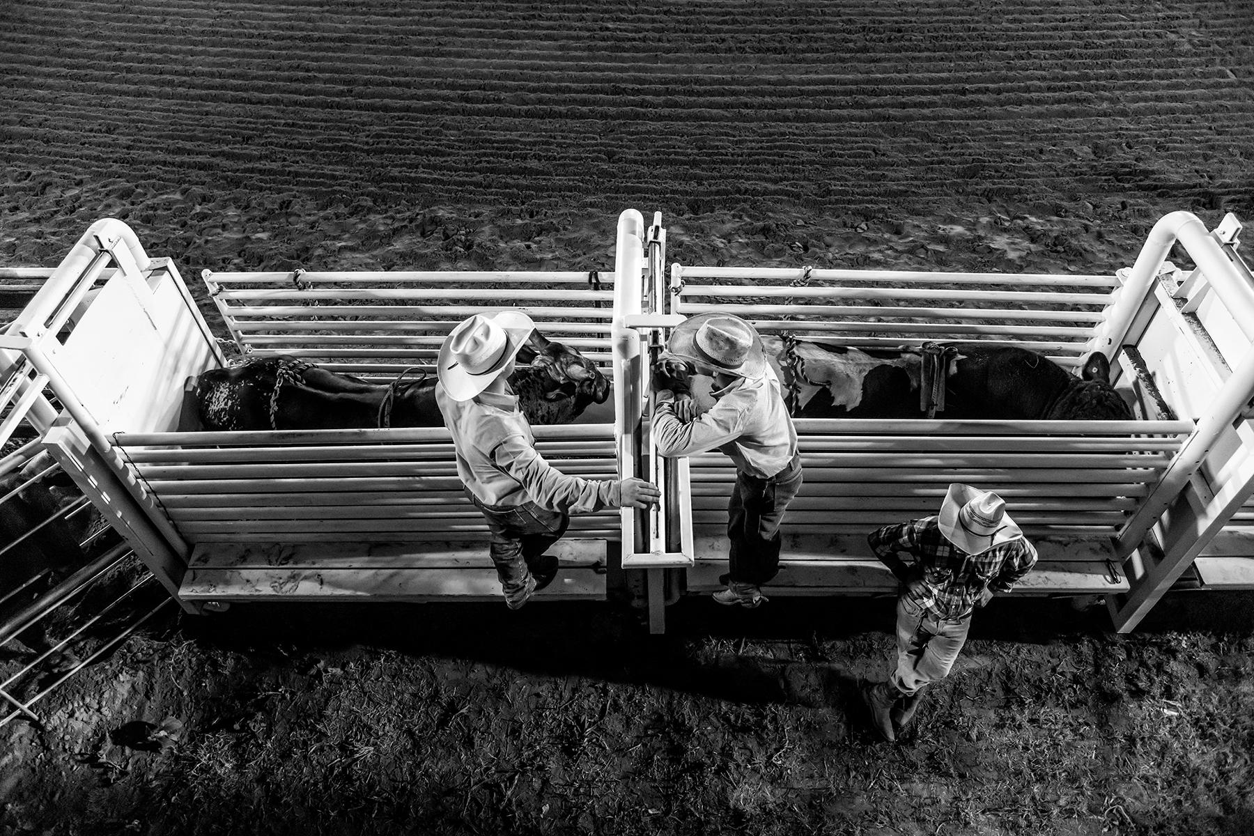 Black and White Photograph Anouk Krantz - Rodeo des États-Unis