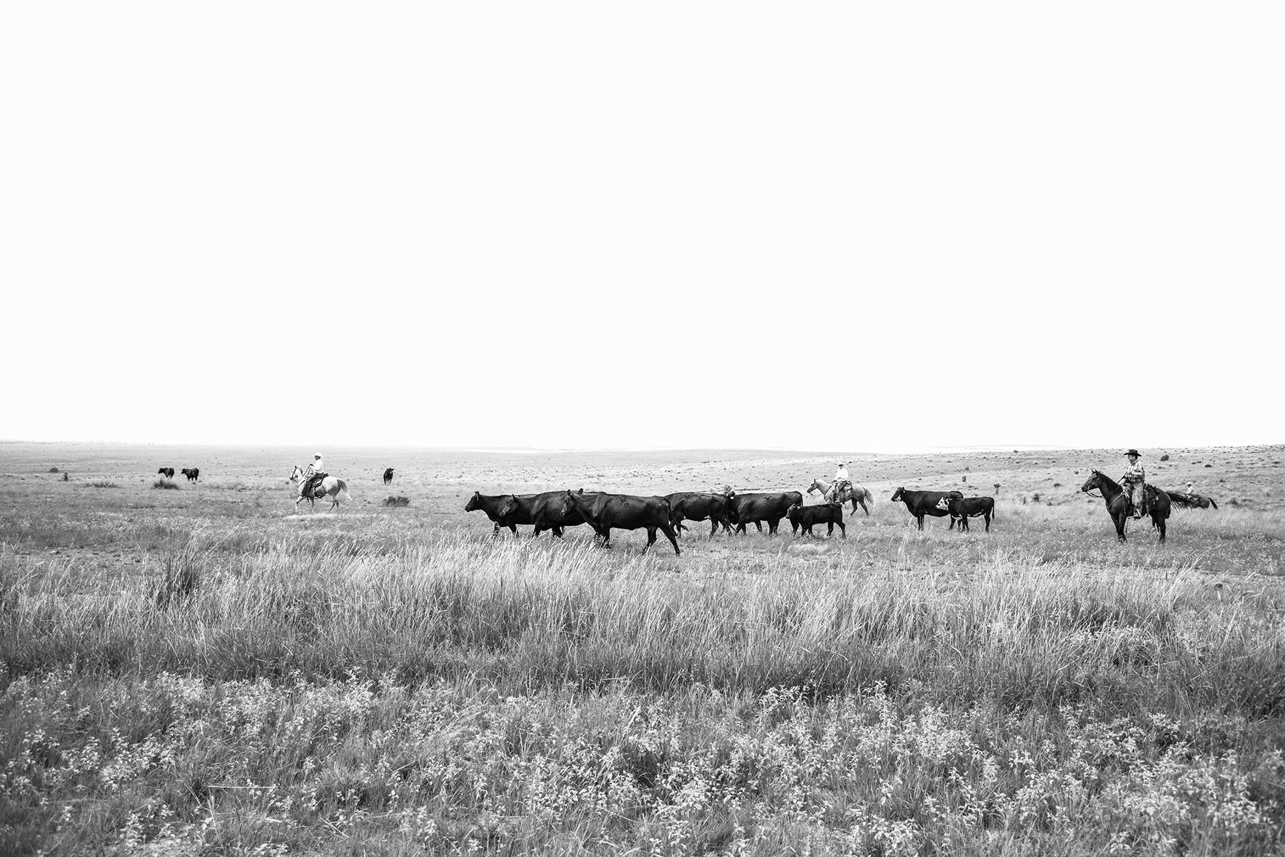 Black and White Photograph Anouk Krantz - La coupe de la taille 2