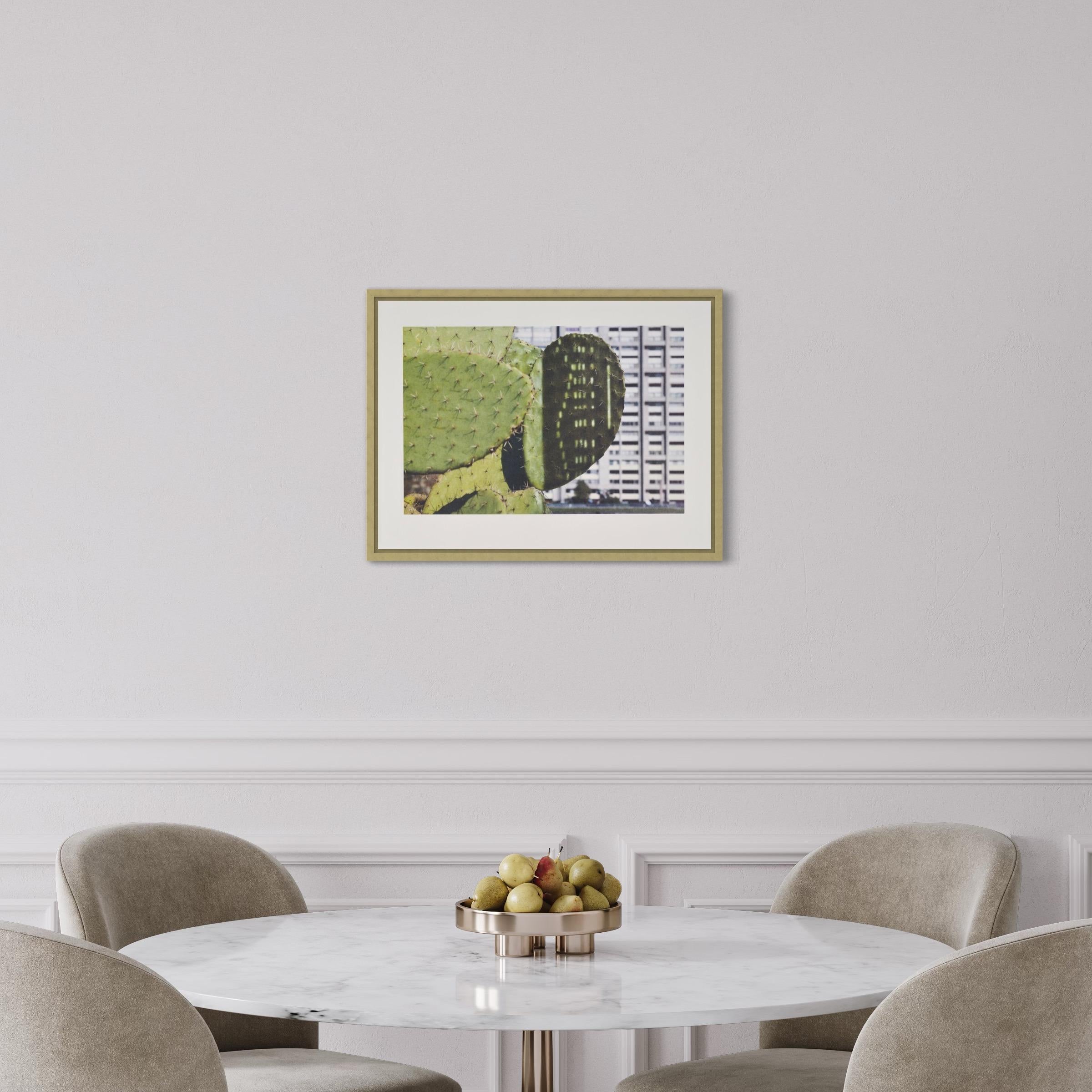 Anri Sala, Cactus Puntuación, Edición Limitada, Botánico, Impresión, Arte, Naturaleza muerta en venta 6