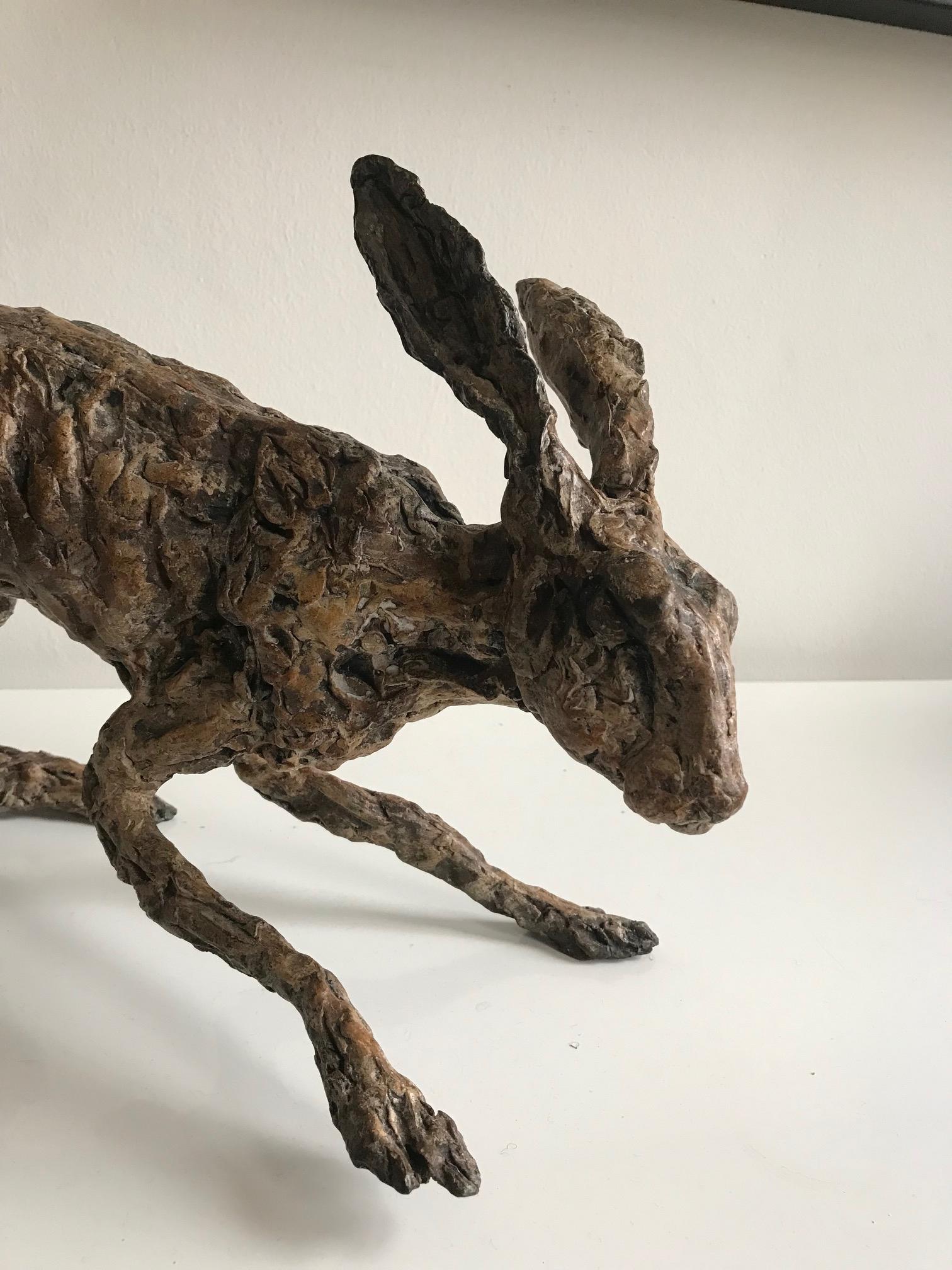 ''Alerto Hare'', Contemporary Bronze Sculpture Portrait of a Hare For Sale 3