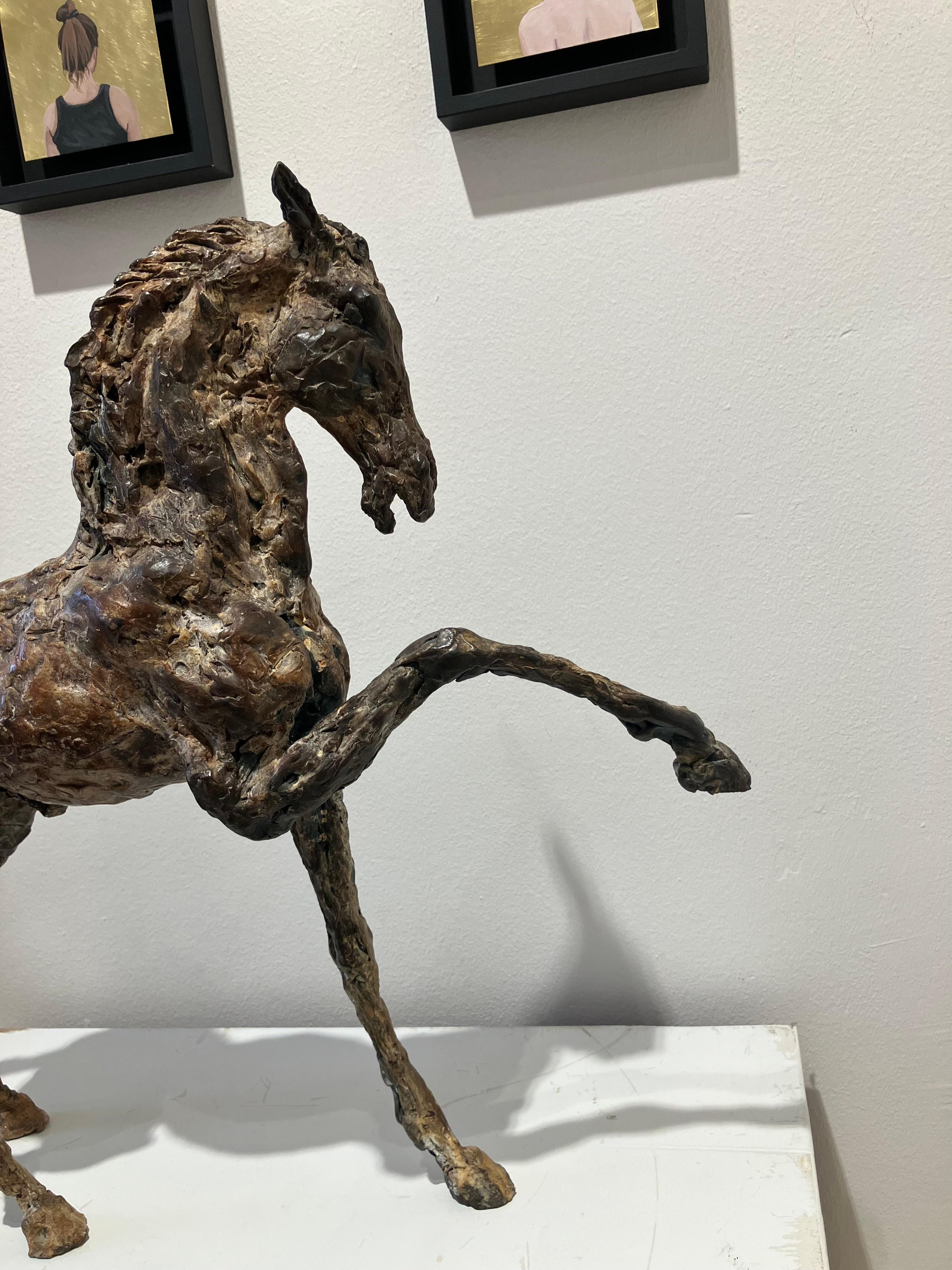 ''Andaluz'', Escultura Contemporánea de Bronce Marrón Retrato de un Caballo en venta 4