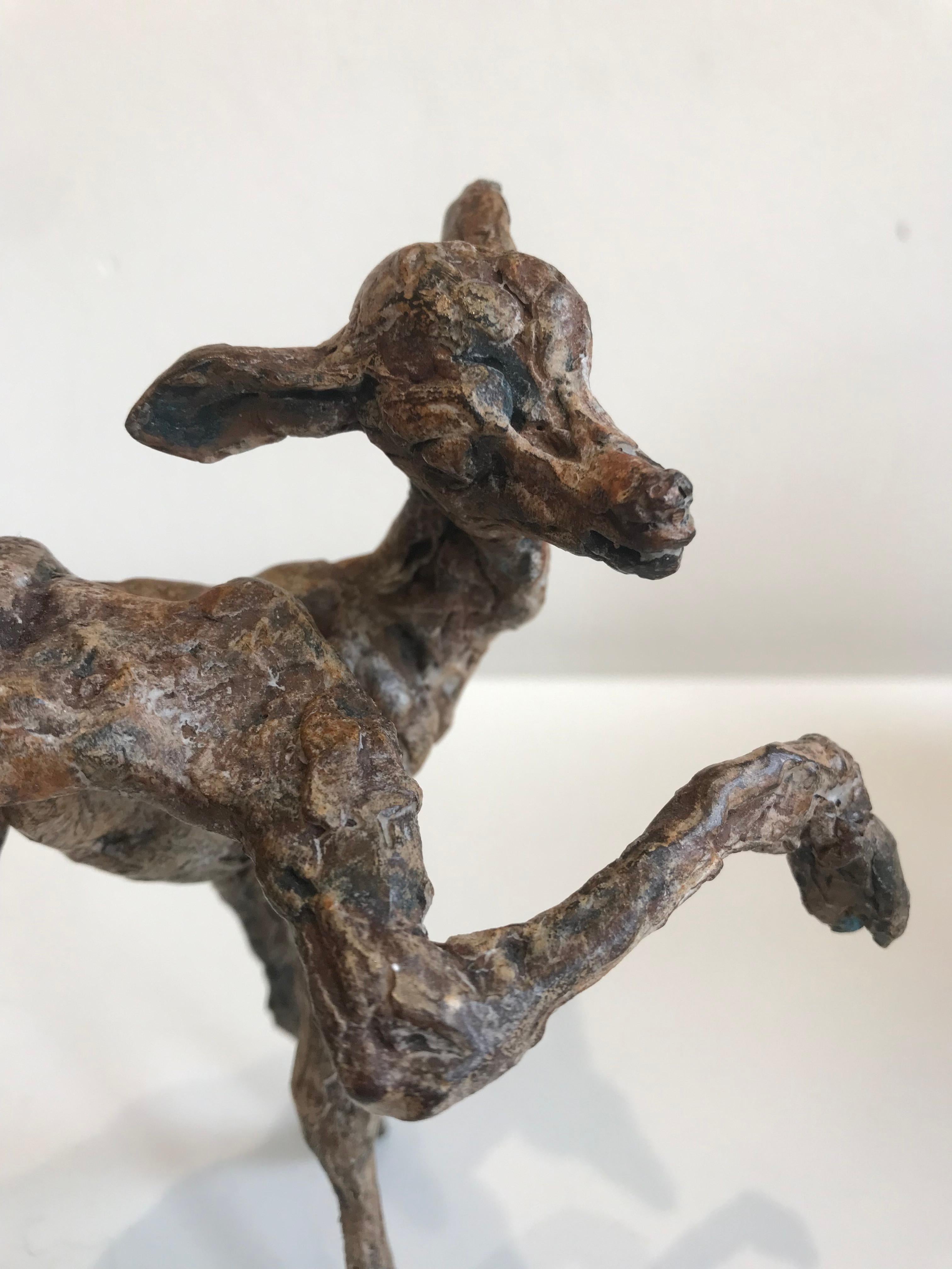 ''Baby Deer'' Contemporary Bronze Sculpture Portrait of a Baby Deer, Fawn 4
