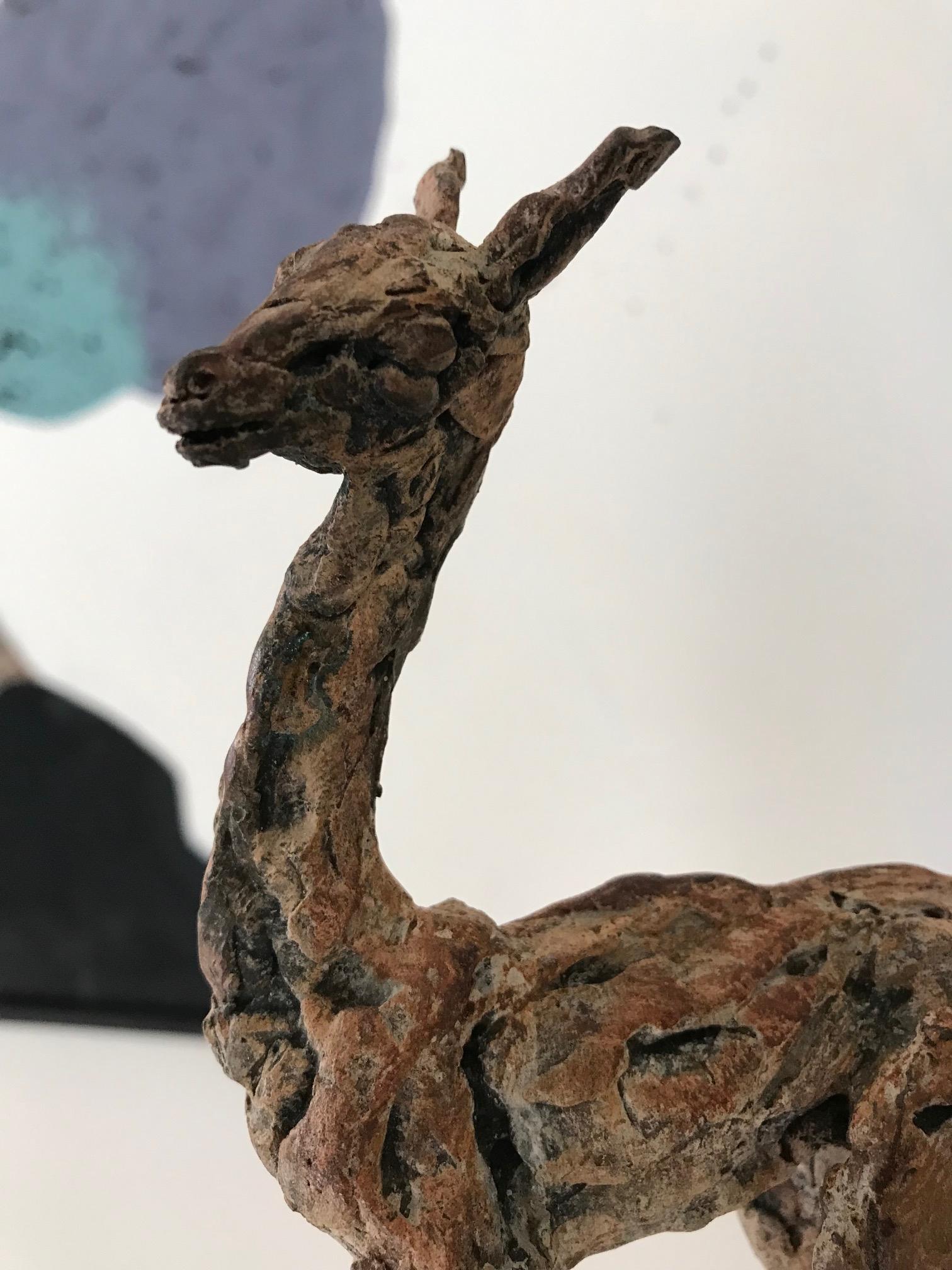 ''Baby Lama'' Contemporary Bronze Sculpture Portrait of a Baby Lama For Sale 1