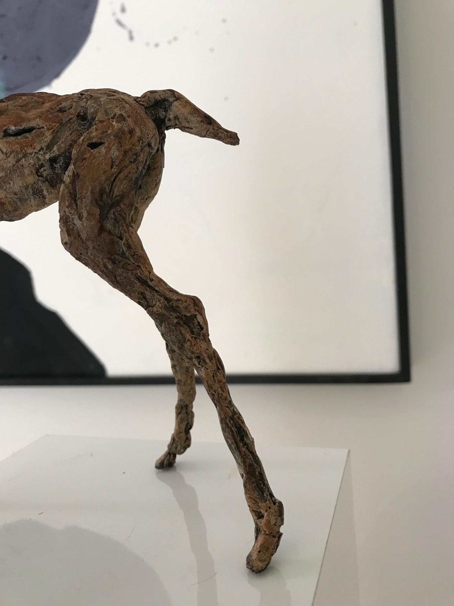 ''Baby Lama'' Contemporary Bronze Sculpture Portrait of a Baby Lama For Sale 2
