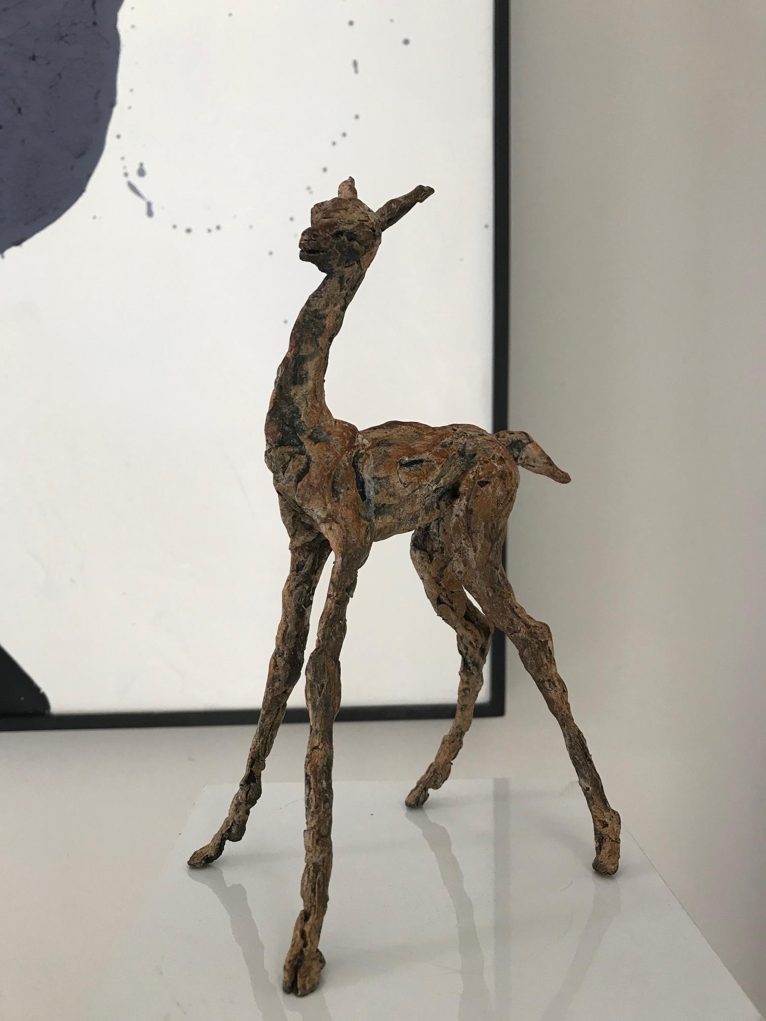 ''Baby Lama'' Contemporary Bronze Sculpture Portrait of a Baby Lama For Sale 3