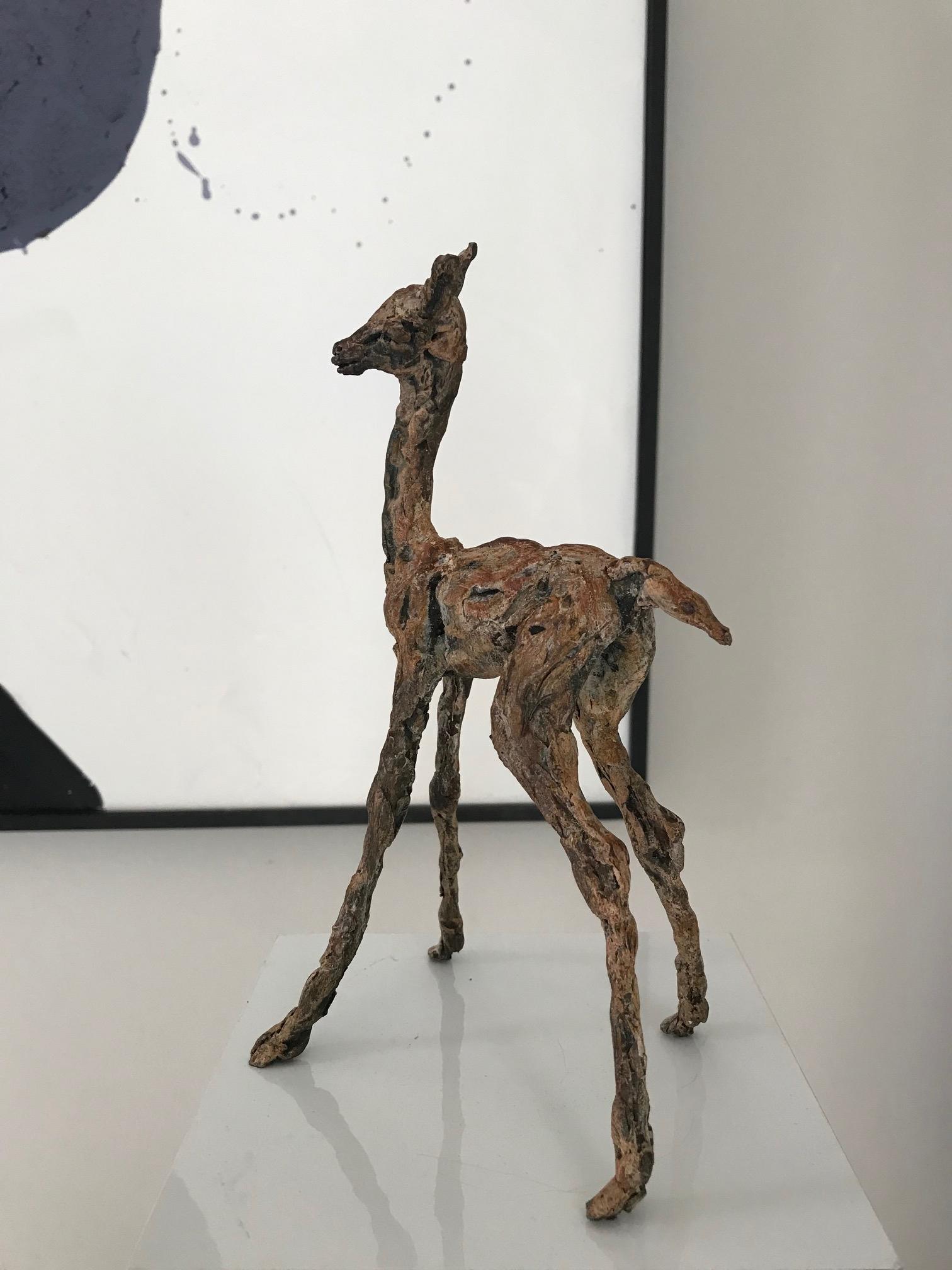 ''Baby Lama'' Contemporary Bronze Sculpture Portrait of a Baby Lama For Sale 4