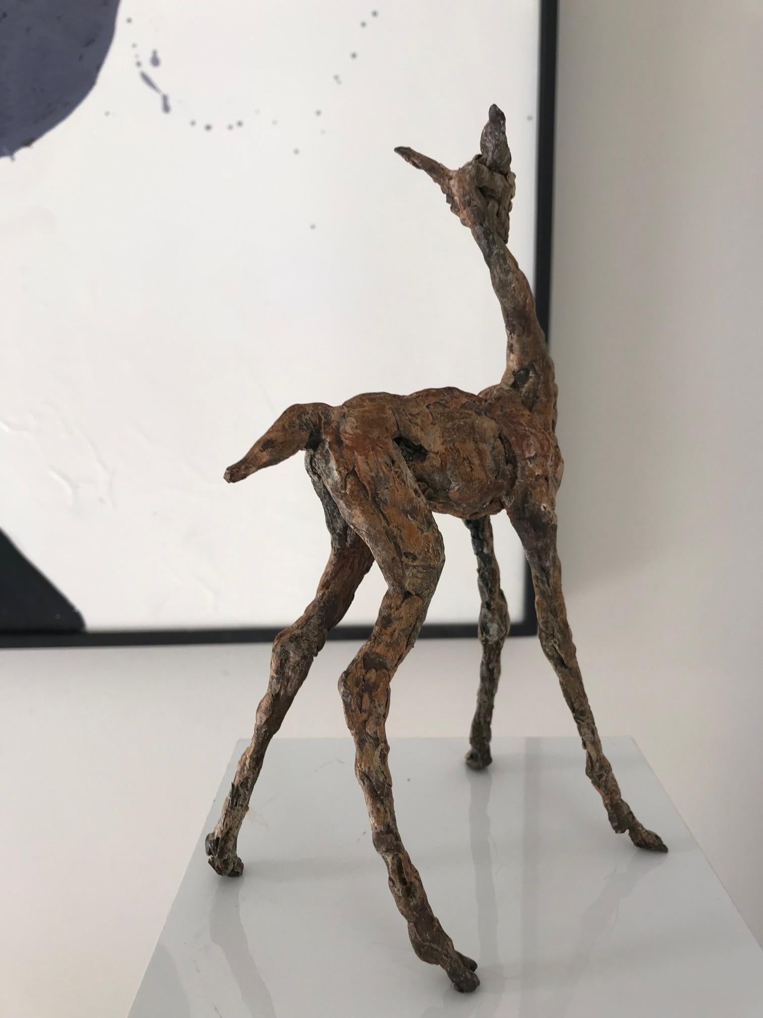 ''Baby Lama'' Contemporary Bronze Sculpture Portrait of a Baby Lama For Sale 6