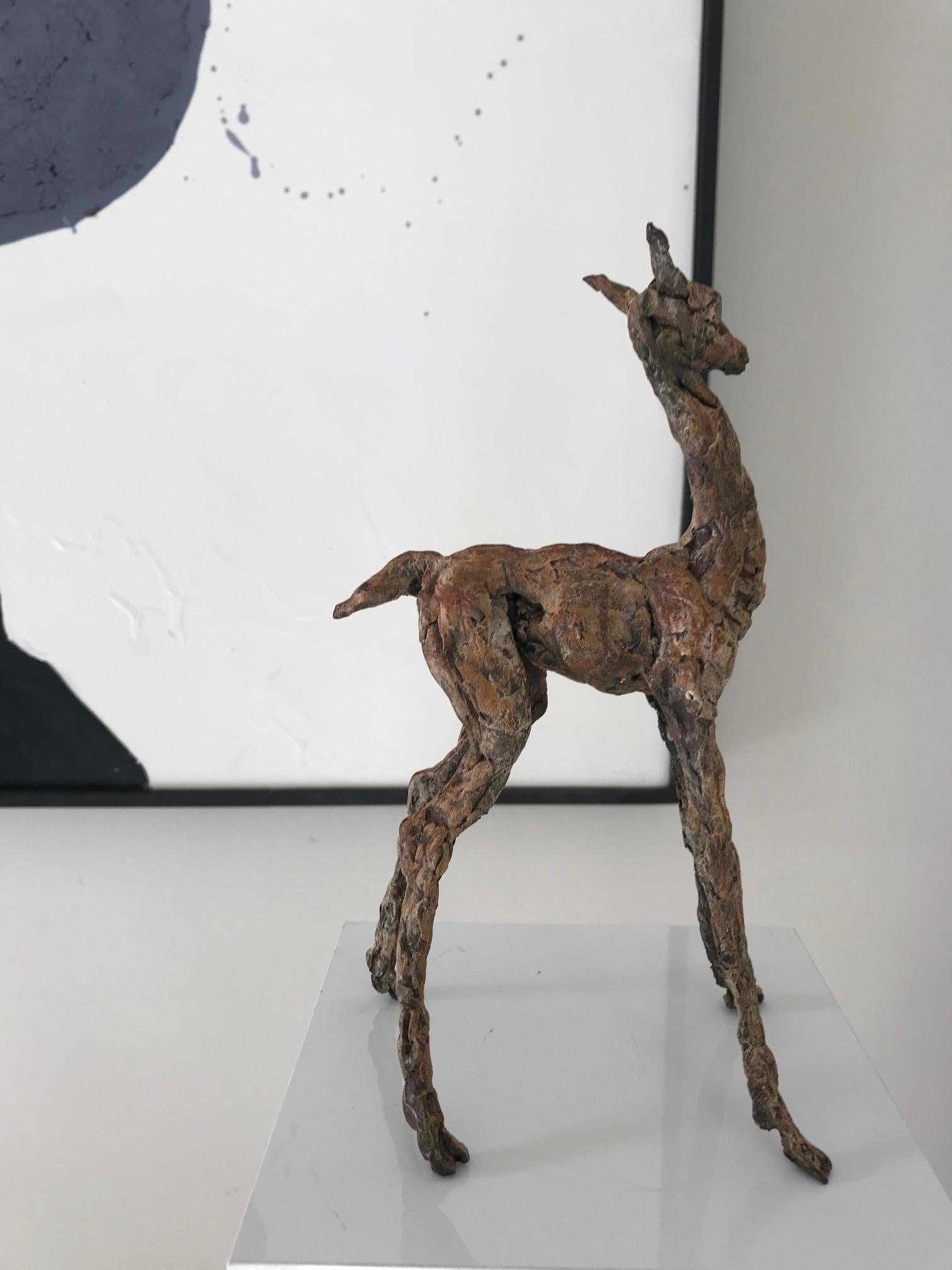 ''Baby Lama'' Contemporary Bronze Sculpture Portrait of a Baby Lama For Sale 7