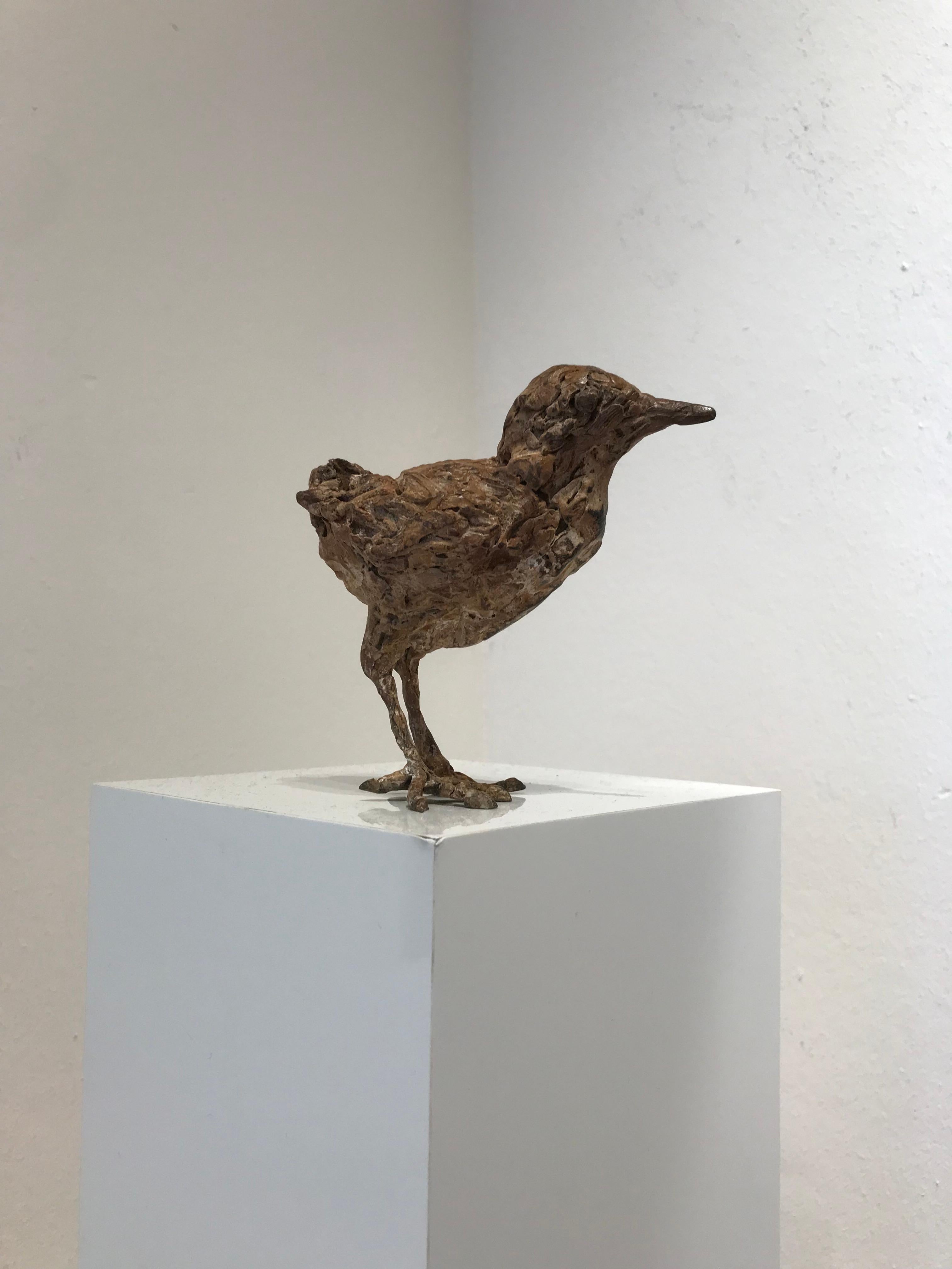 ''Bantam'', Contemporary Bronze Sculpture Portrait of a Baby Chicken, Poultry 9