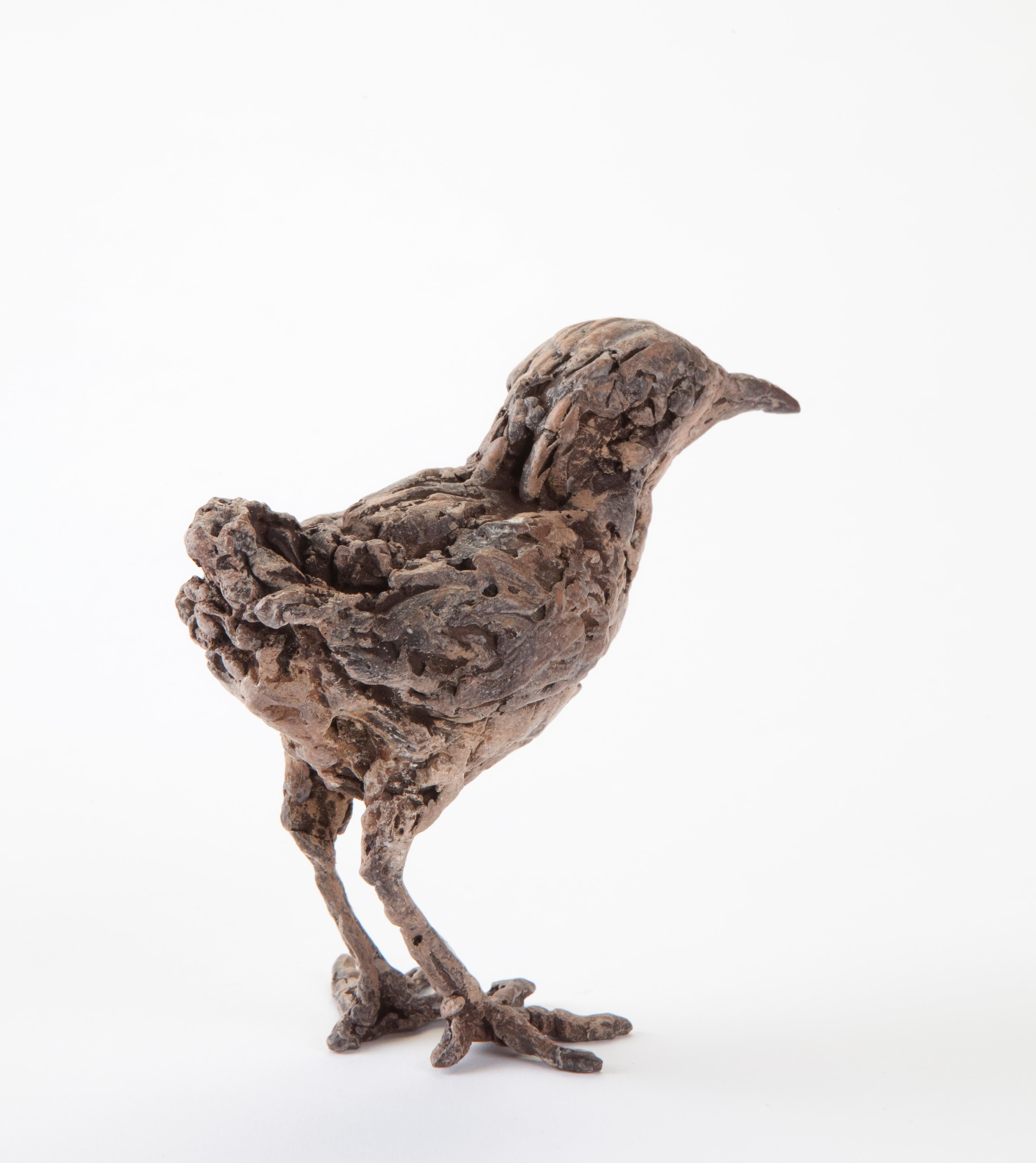 ''Bantam'', Contemporary Bronze Sculpture Portrait of a Baby Chicken, Poultry 1