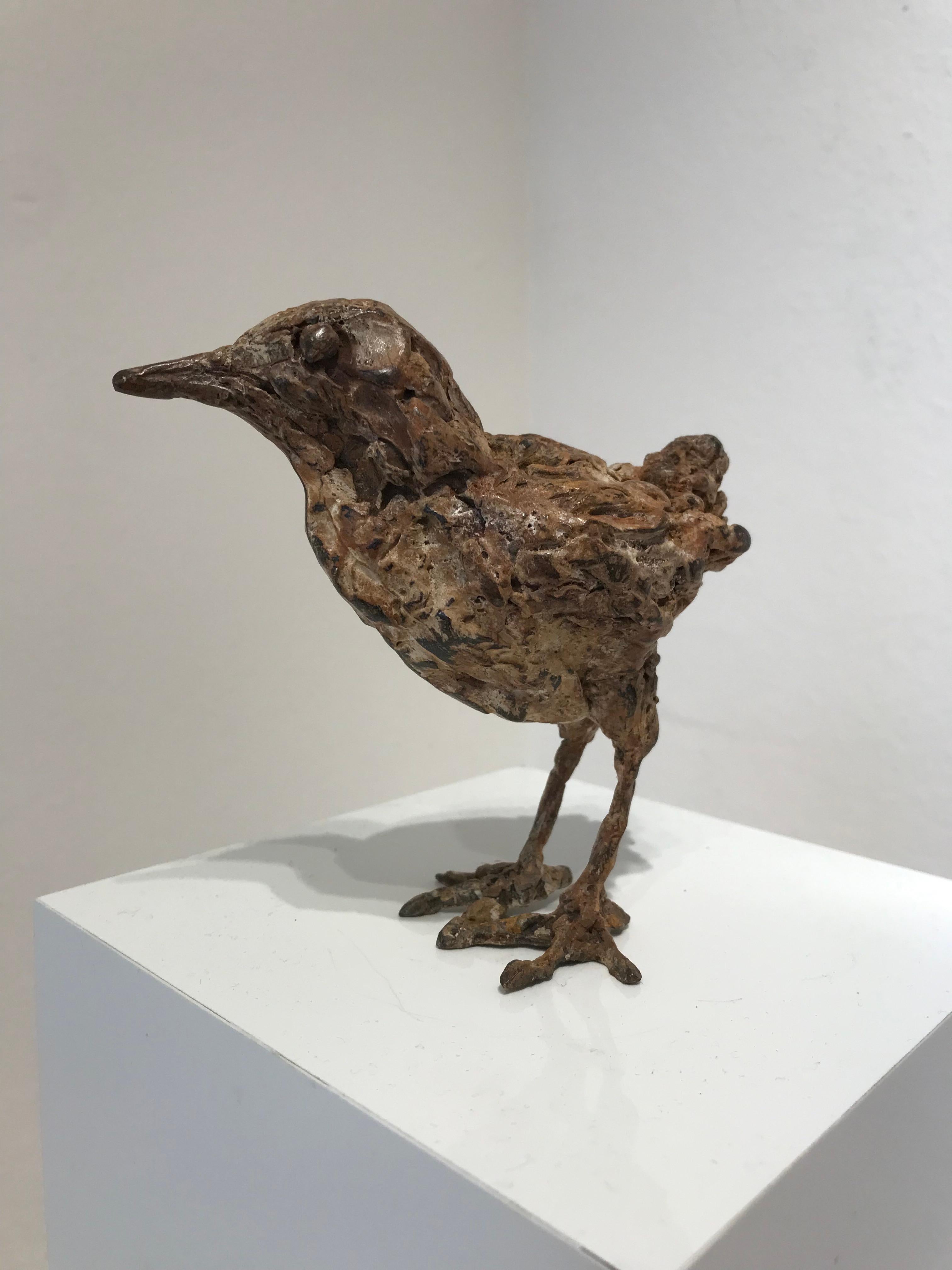 ''Bantam'', Contemporary Bronze Sculpture Portrait of a Baby Chicken, Poultry 2