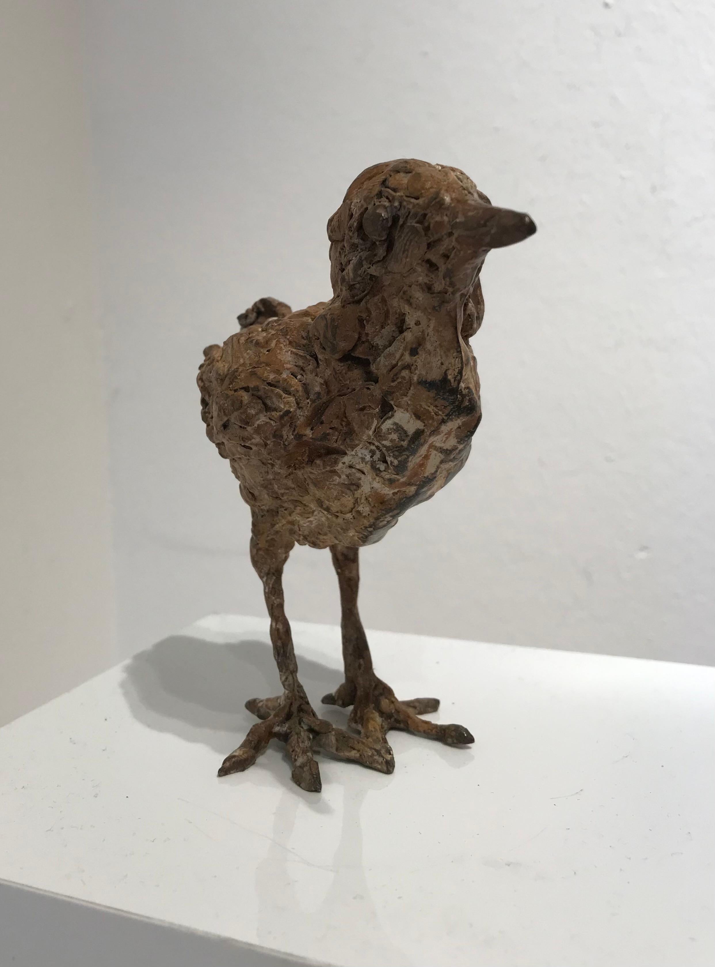 ''Bantam'', Contemporary Bronze Sculpture Portrait of a Baby Chicken, Poultry 3