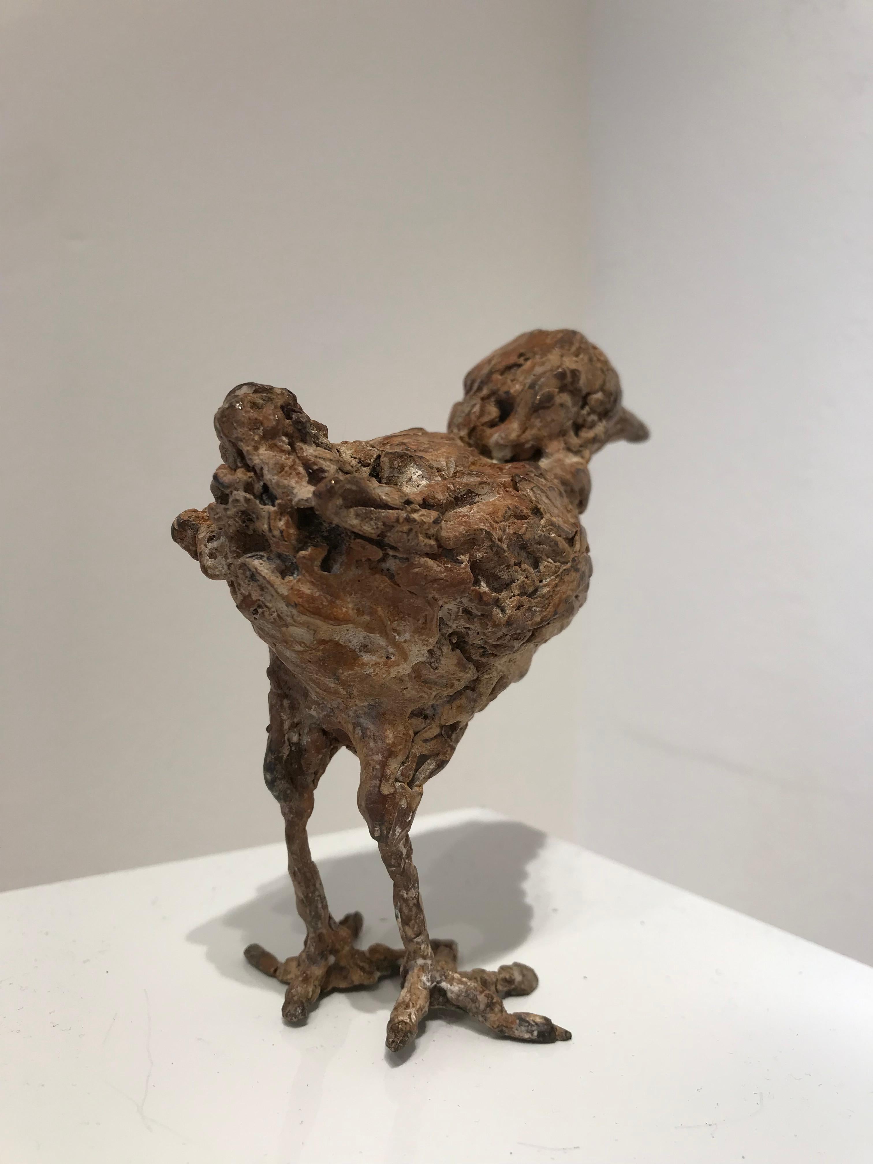 ''Bantam'', Contemporary Bronze Sculpture Portrait of a Baby Chicken, Poultry 4