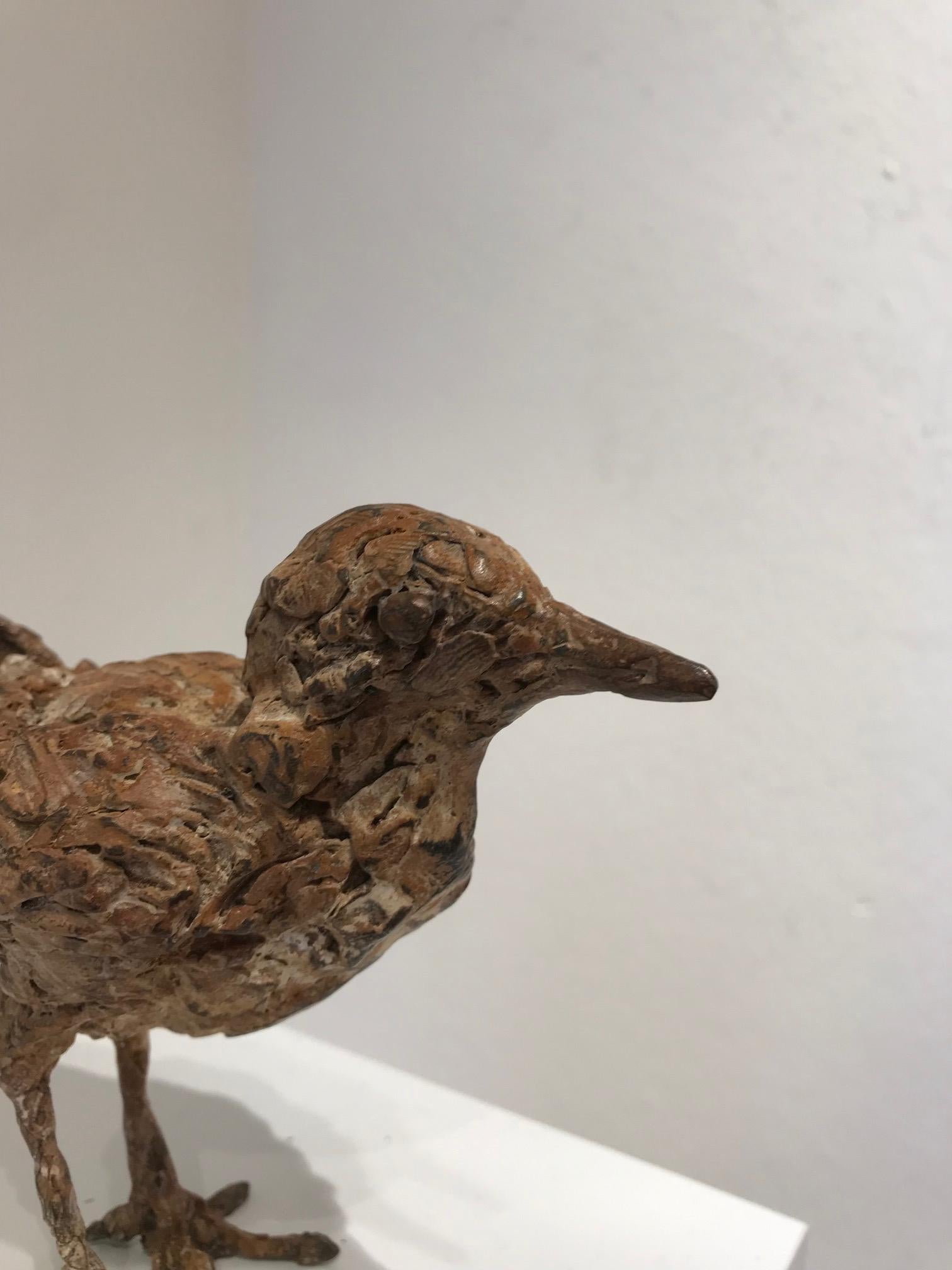 ''Bantam'', Contemporary Bronze Sculpture Portrait of a Baby Chicken, Poultry 5