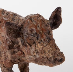 ''Boar Baby'', Contemporary Bronze Sculpture Portrait of a Boar