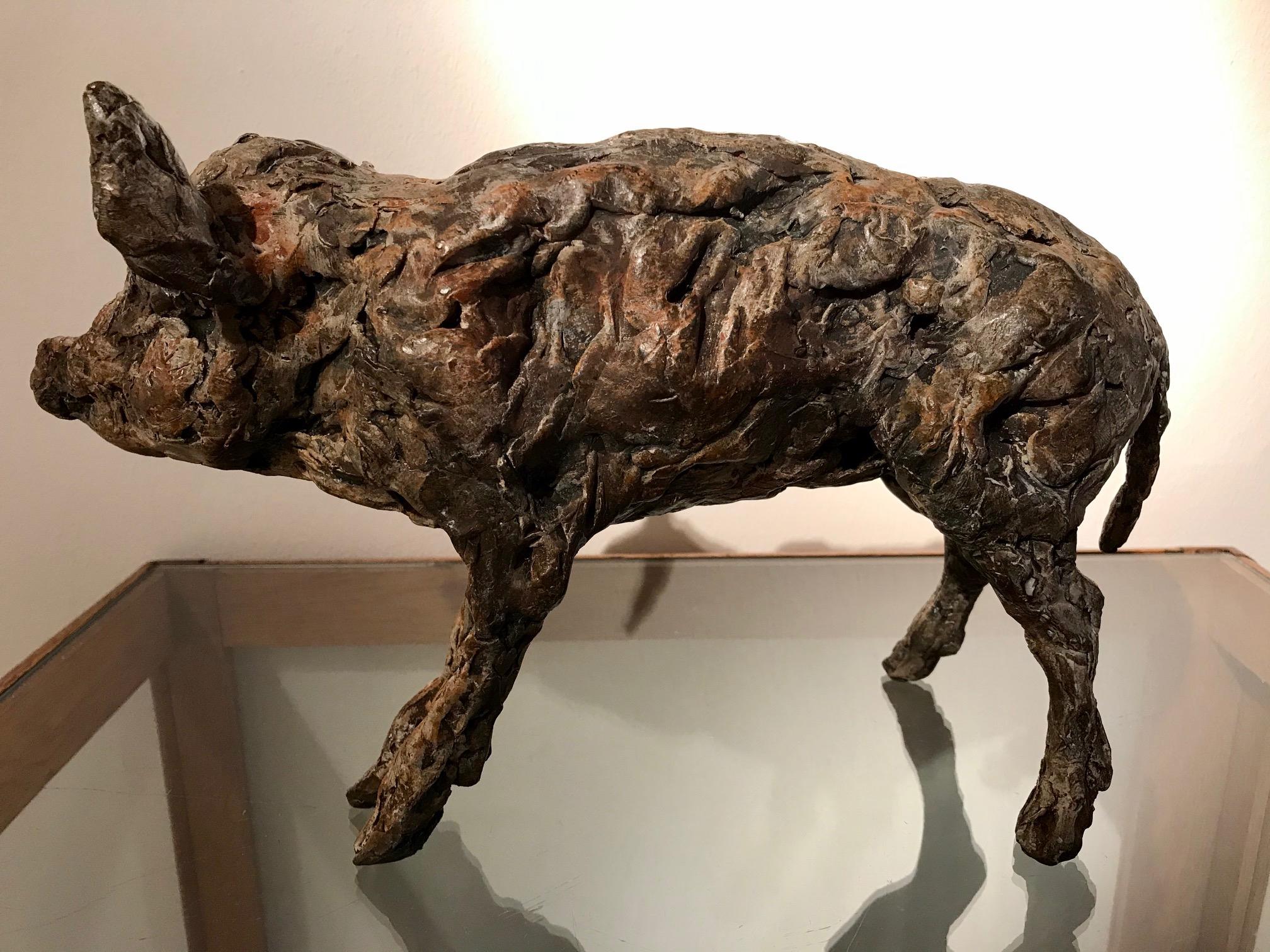 ''Boar Baby'', Contemporary Bronze Sculpture Portrait of a Boar 1