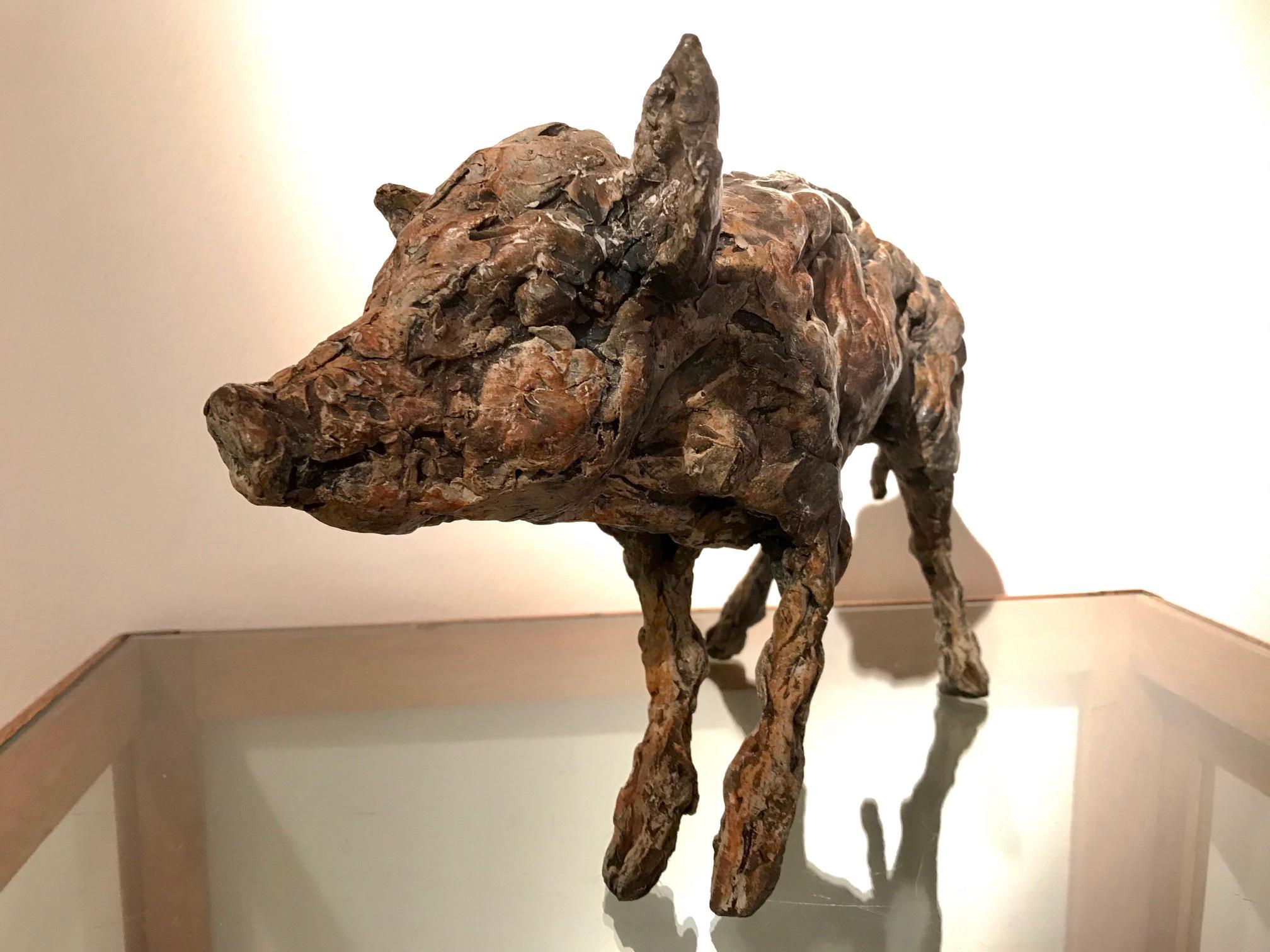 ''Boar Baby'', Contemporary Bronze Sculpture Portrait of a Boar 2