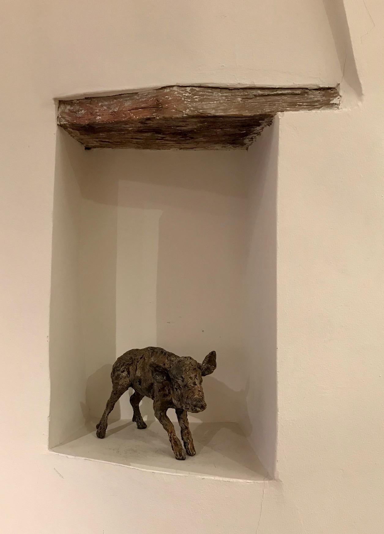 ''Boar Baby'', Contemporary Bronze Sculpture Portrait of a Boar 3