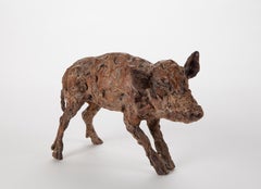 ''Boar Baby'', Contemporary Bronze Sculpture Portrait of a Boar