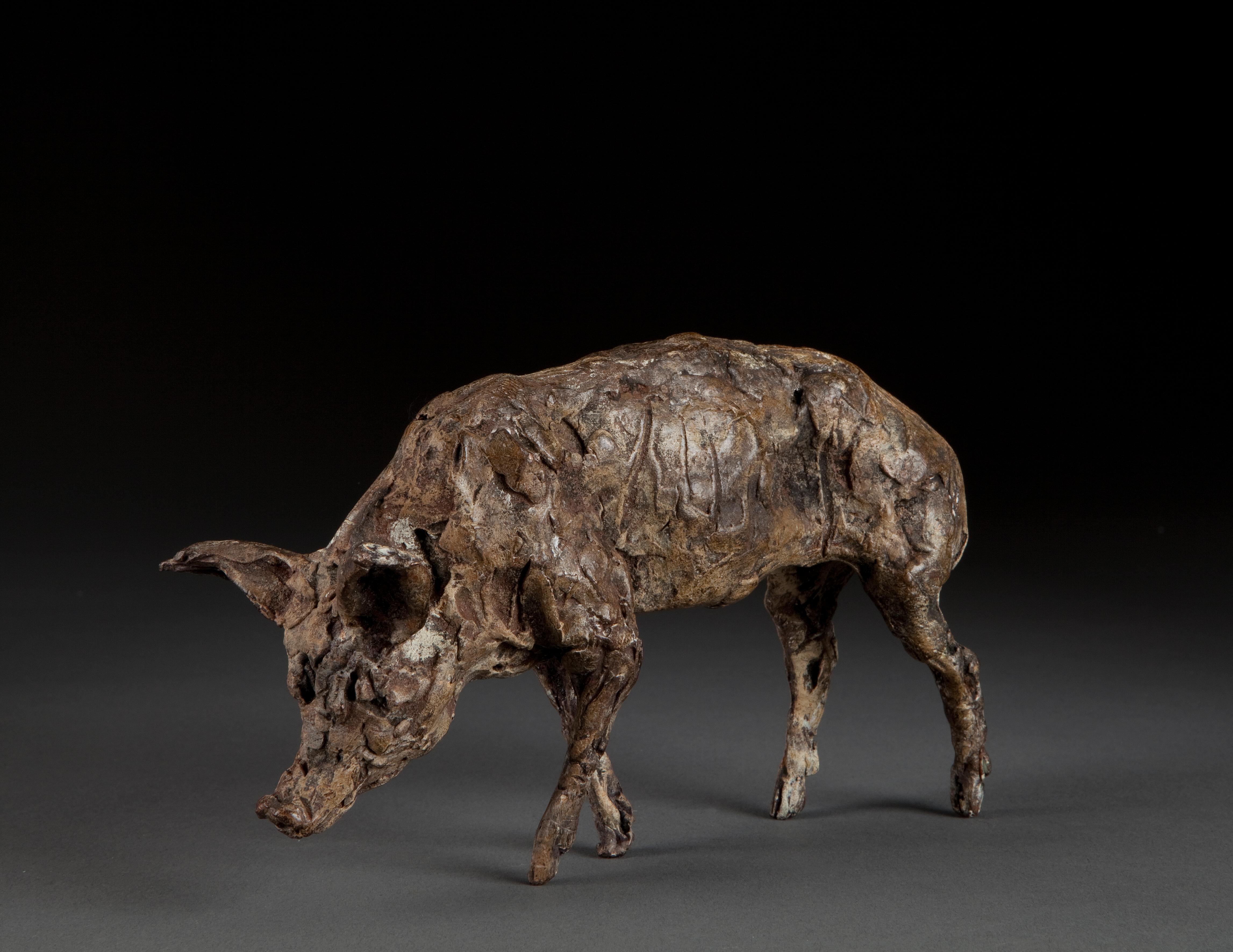 „Boar“, zeitgenössische Bronzeskulptur, Porträt eines Birnens, eines Schweins