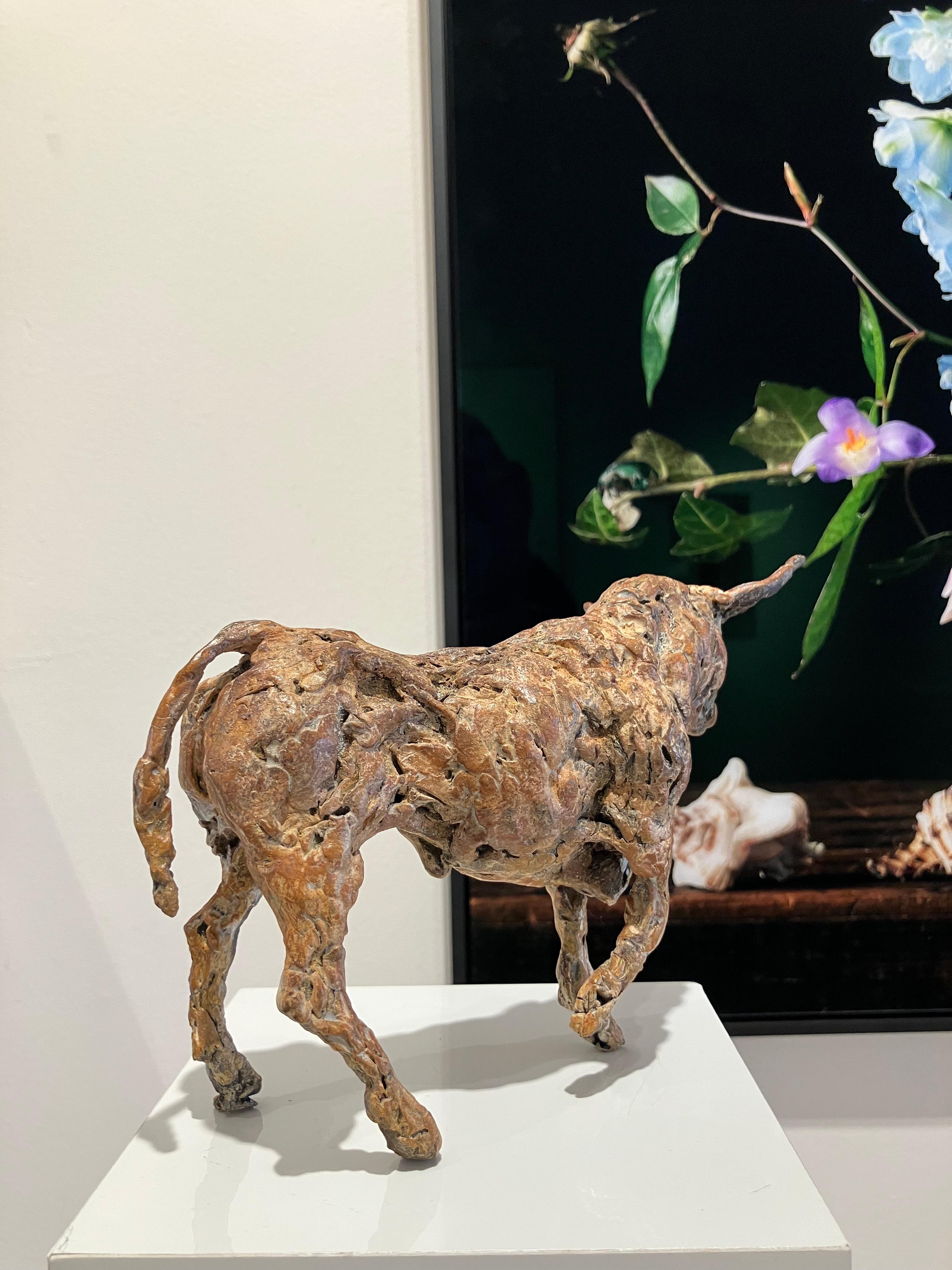 ''Toro'', escultura contemporánea holandesa de bronce Retrato de un toro - Sculpture de Ans Zondag