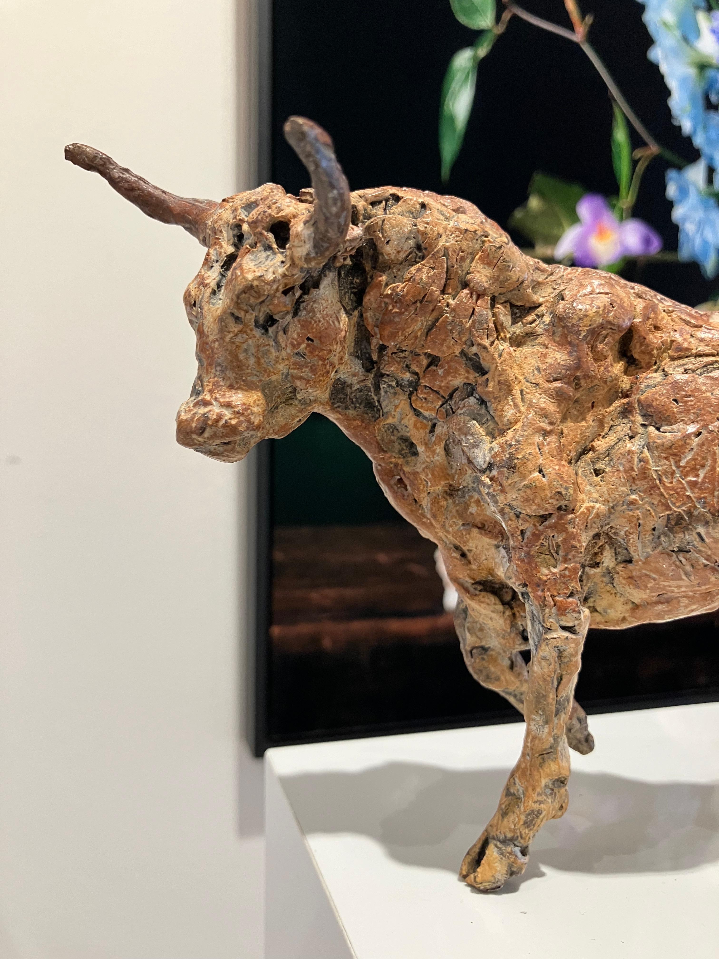 ''Toro'', escultura contemporánea holandesa de bronce Retrato de un toro en venta 1