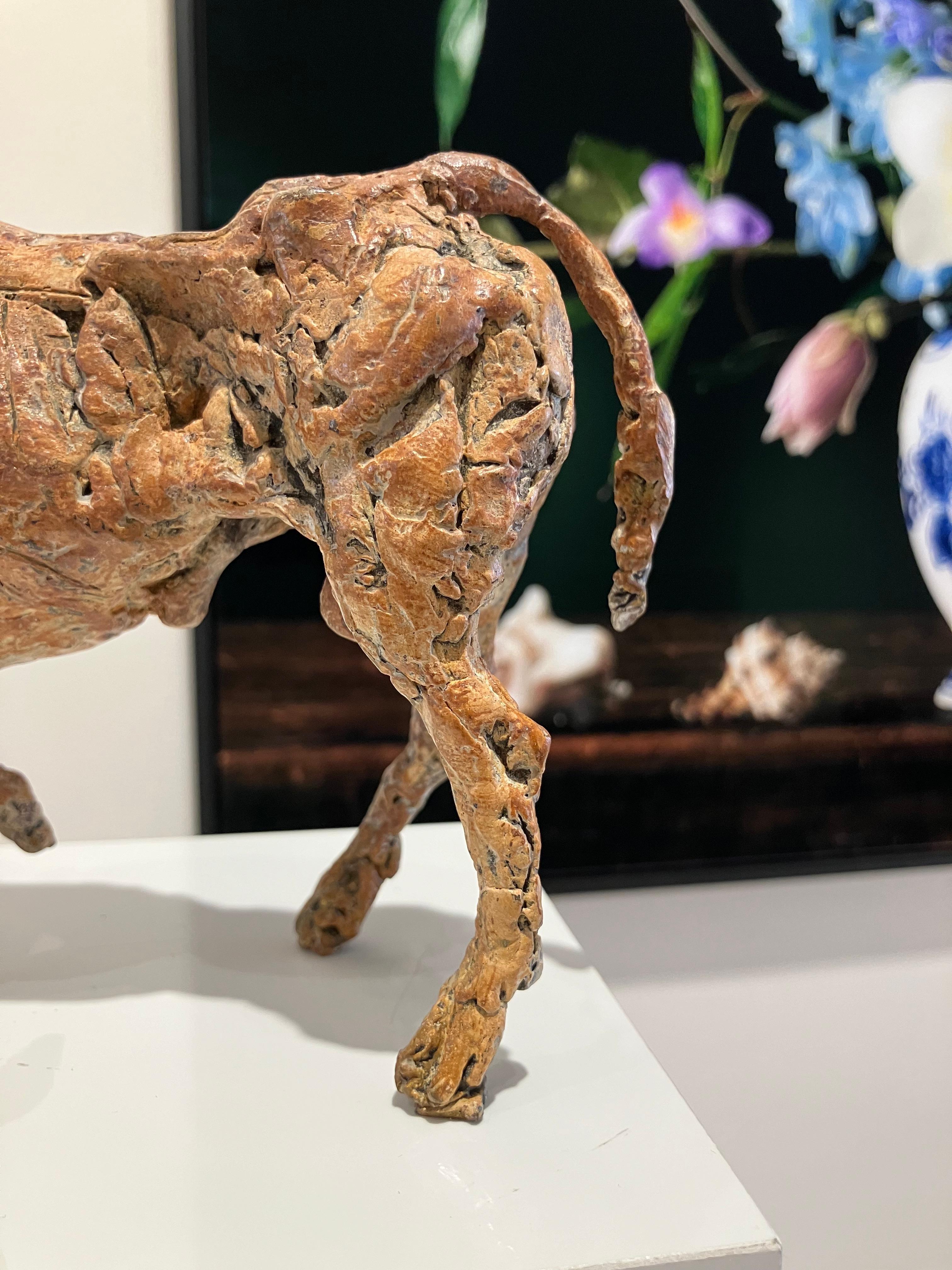 ''Toro'', escultura contemporánea holandesa de bronce Retrato de un toro en venta 2