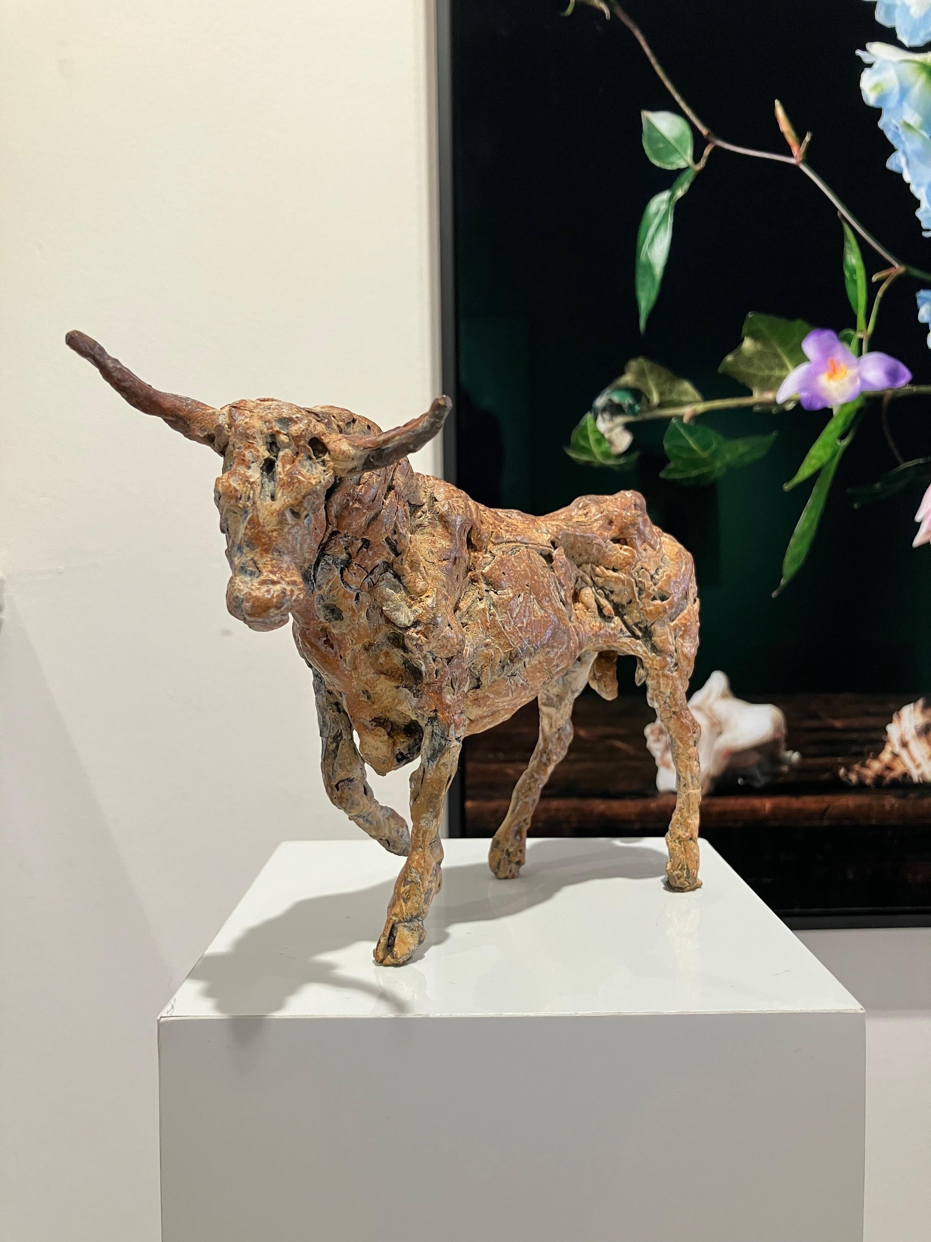 Figurative Sculpture Ans Zondag - ''Bull'', Sculpture en bronze contemporaine hollandaise Portrait d'un taureau