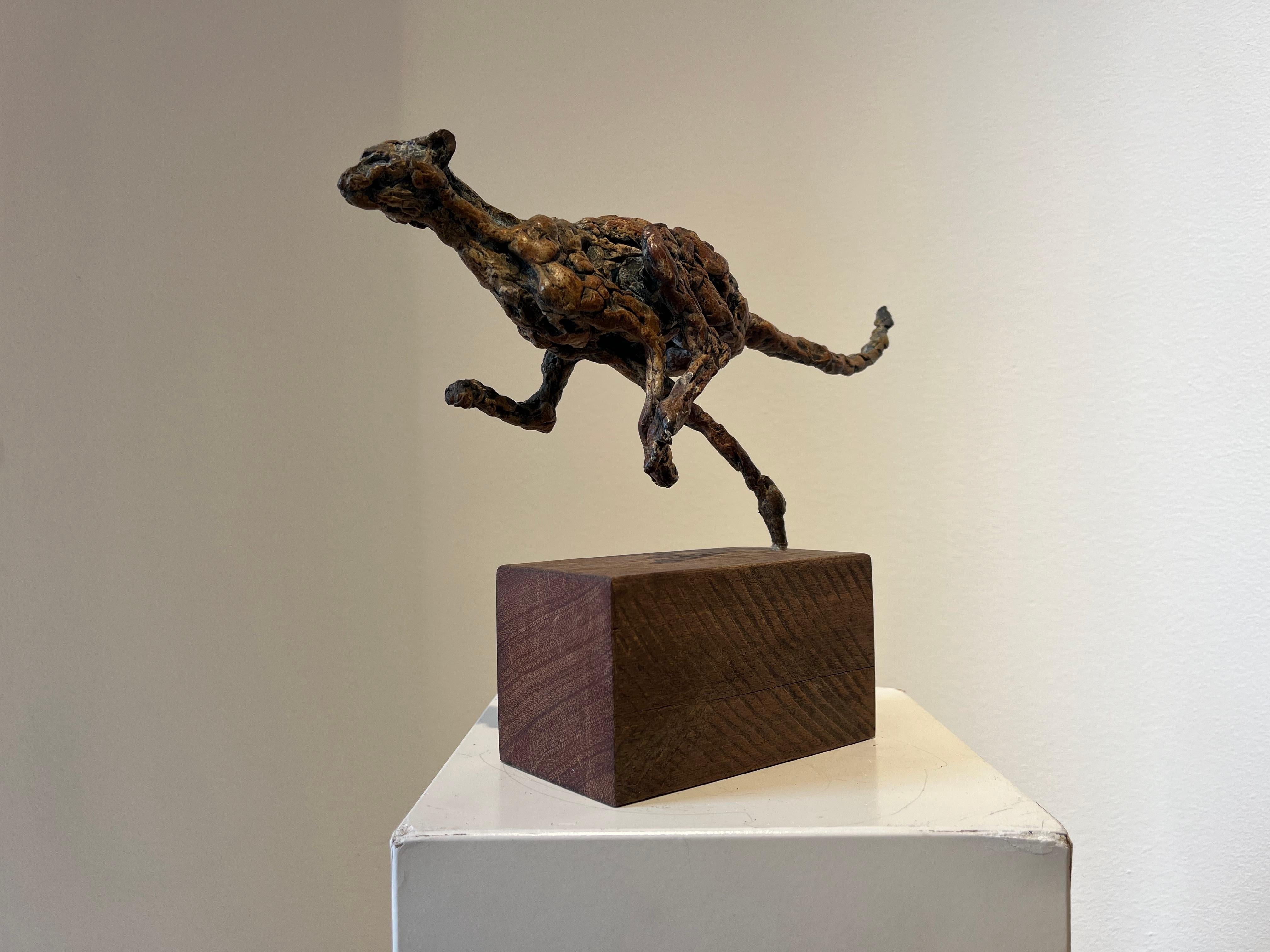''Cheetah Running'', Contemporary Bronze Sculpture Portrait of a Moving Cheetah For Sale 2