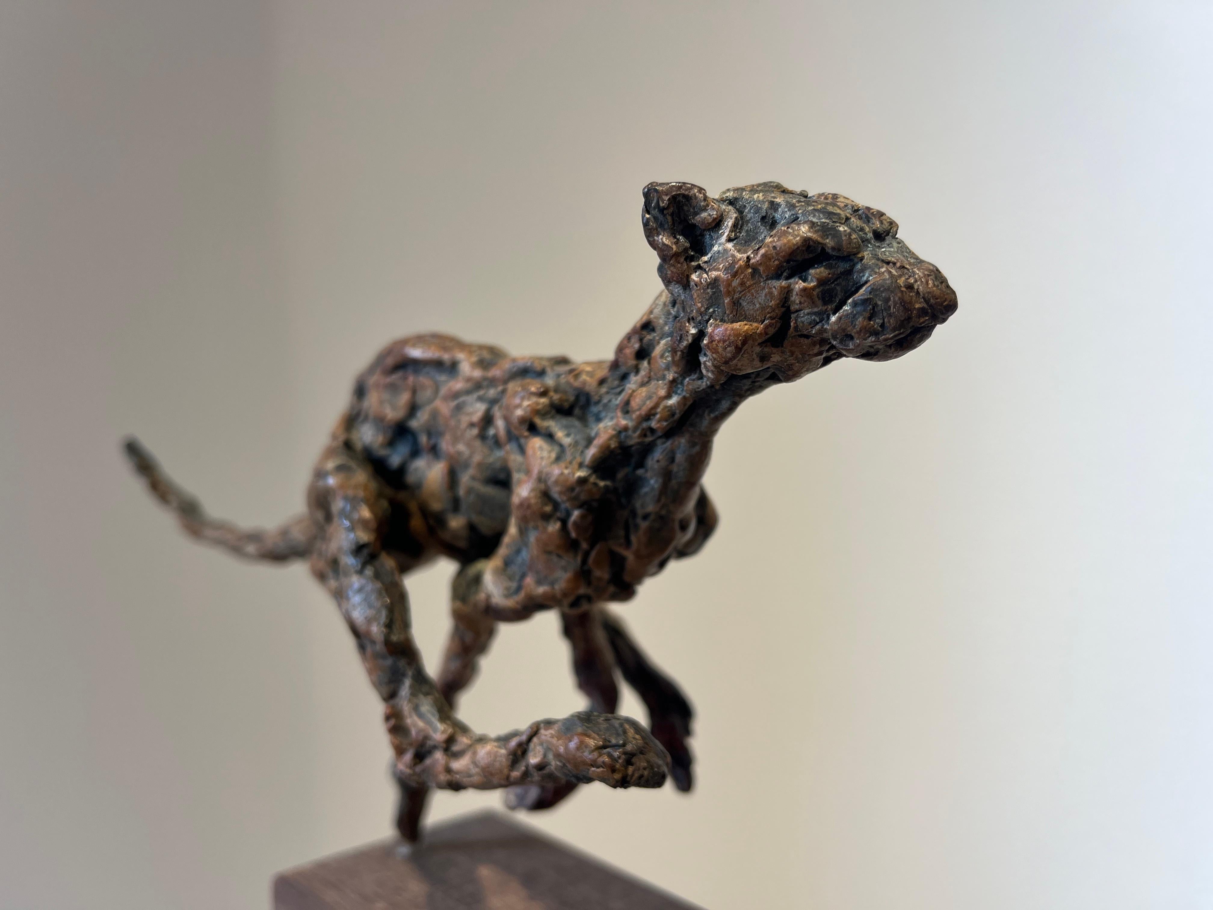 ''Cheetah Running'', Contemporary Bronze Sculpture Portrait of a Moving Cheetah For Sale 6