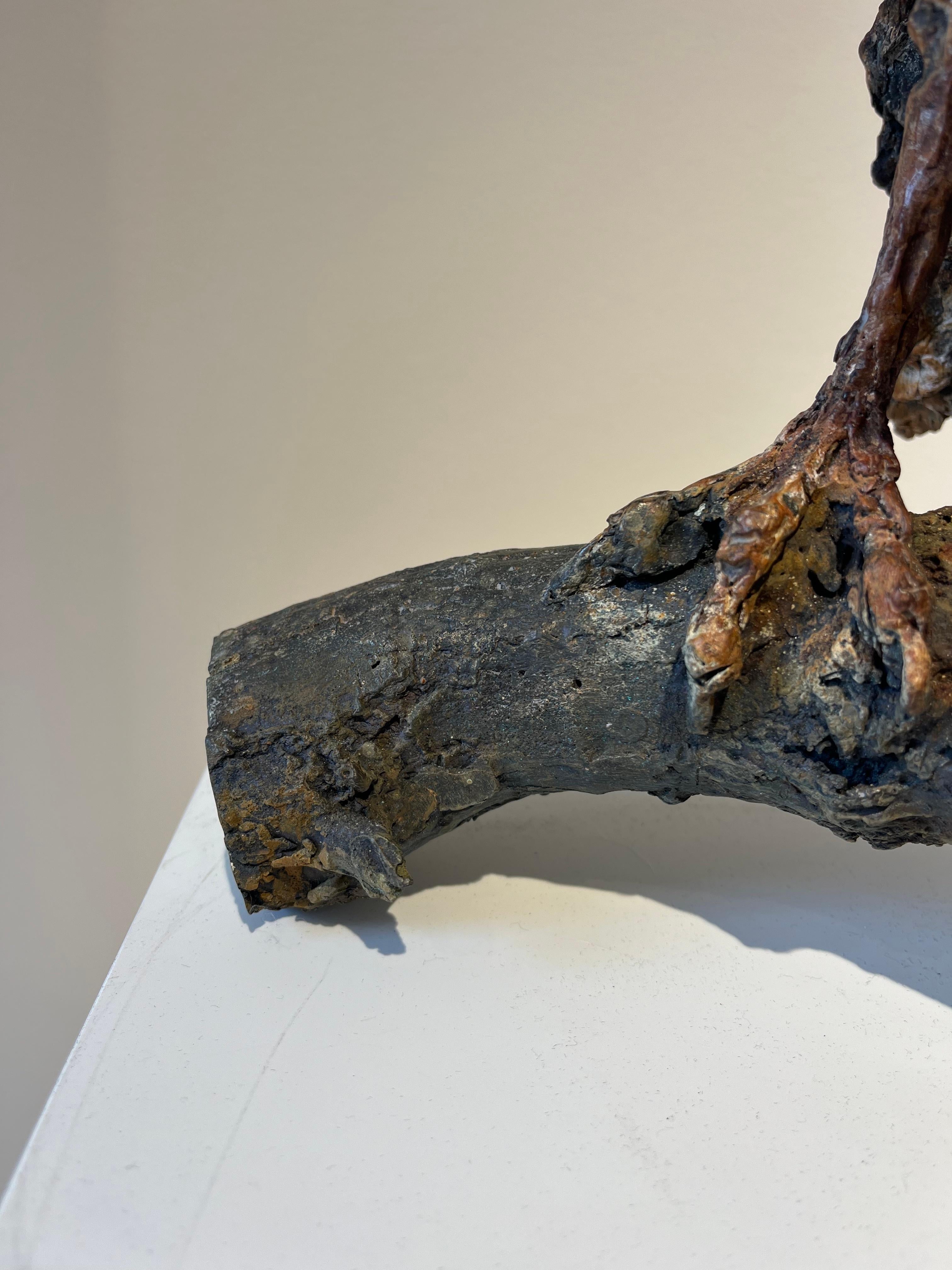 ''Contemplación'', Escultura contemporánea de bronce Retrato de un buitre sobre una rama en venta 7