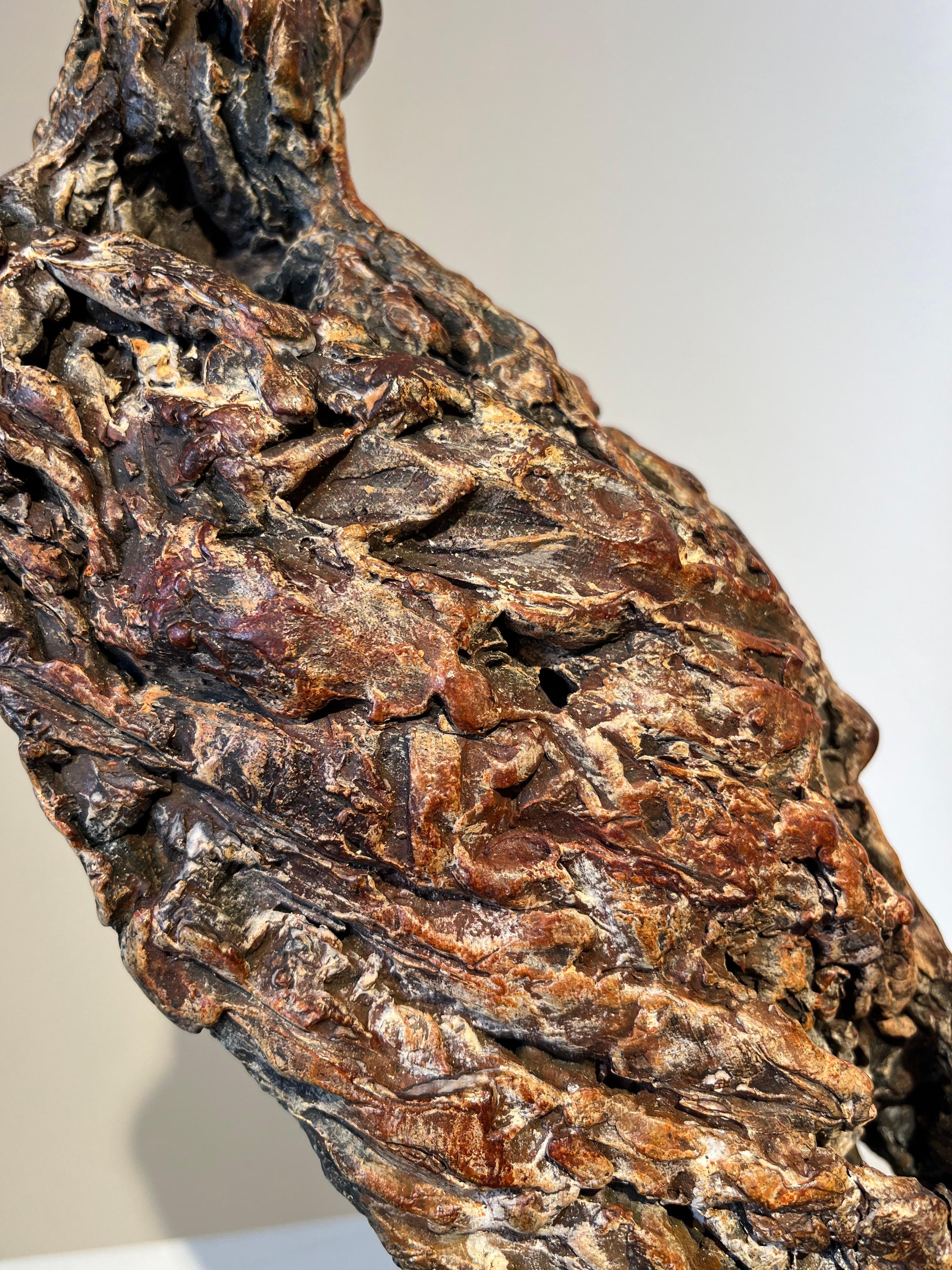 ''Contemplación'', Escultura contemporánea de bronce Retrato de un buitre sobre una rama en venta 8