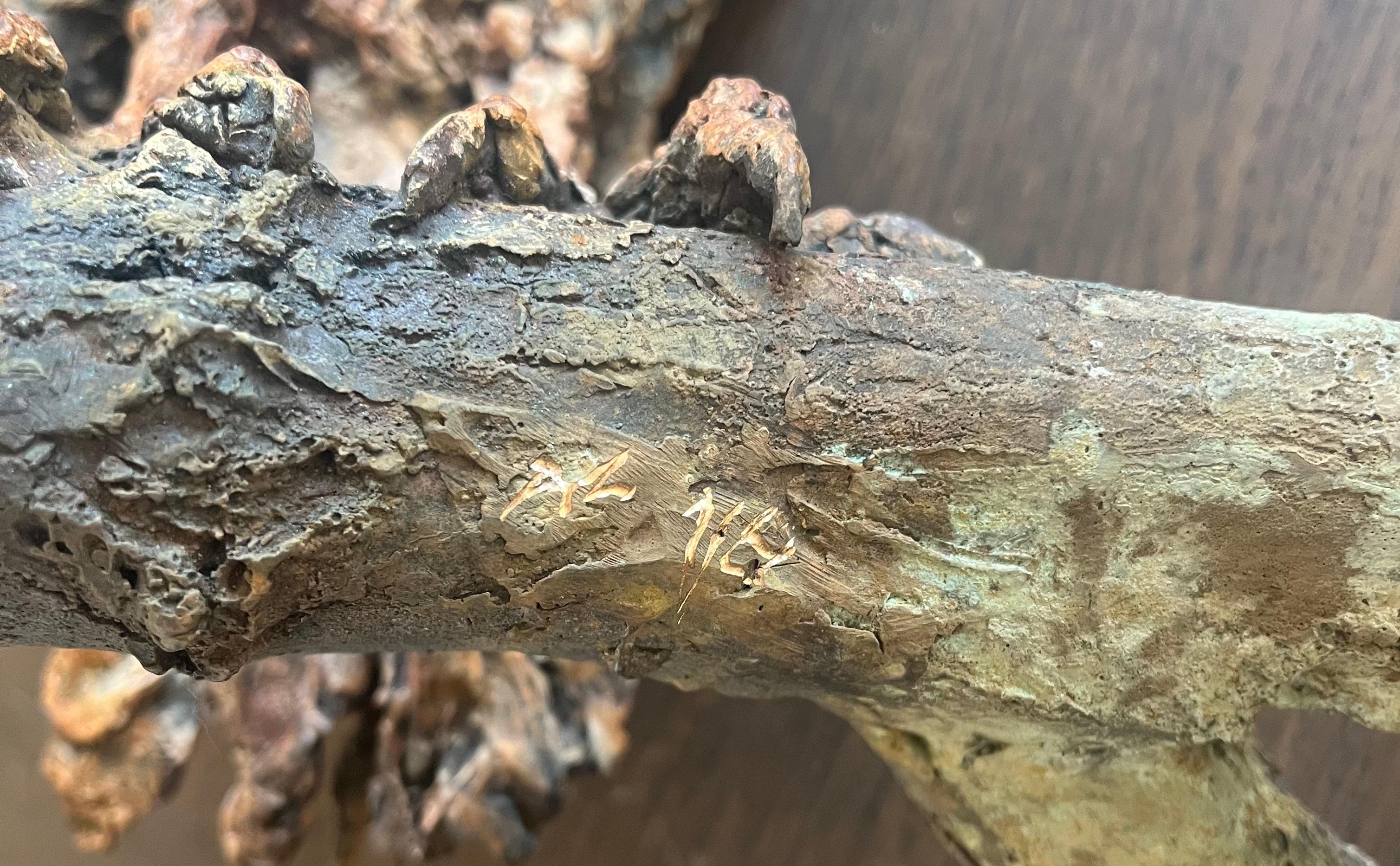 ''Contemplación'', Escultura contemporánea de bronce Retrato de un buitre sobre una rama en venta 9