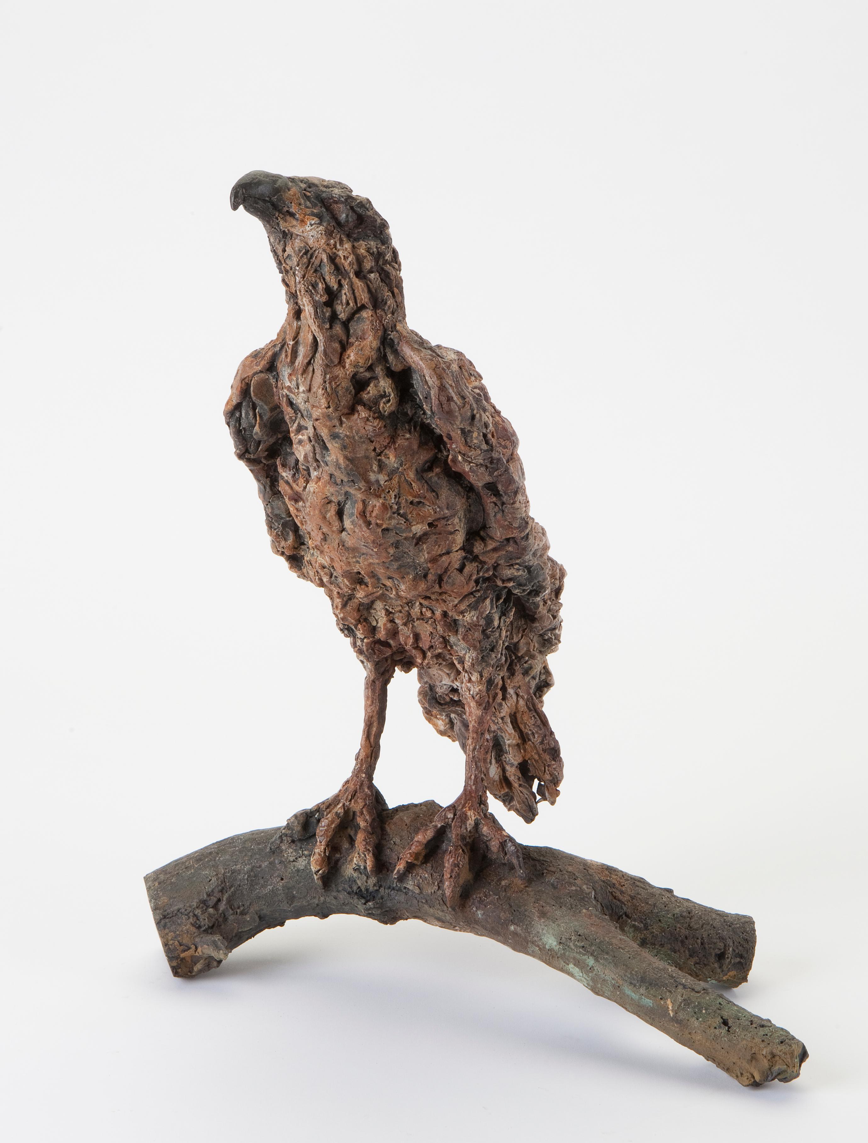 ''Contemplación'', Escultura contemporánea de bronce Retrato de un buitre sobre una rama en venta 1