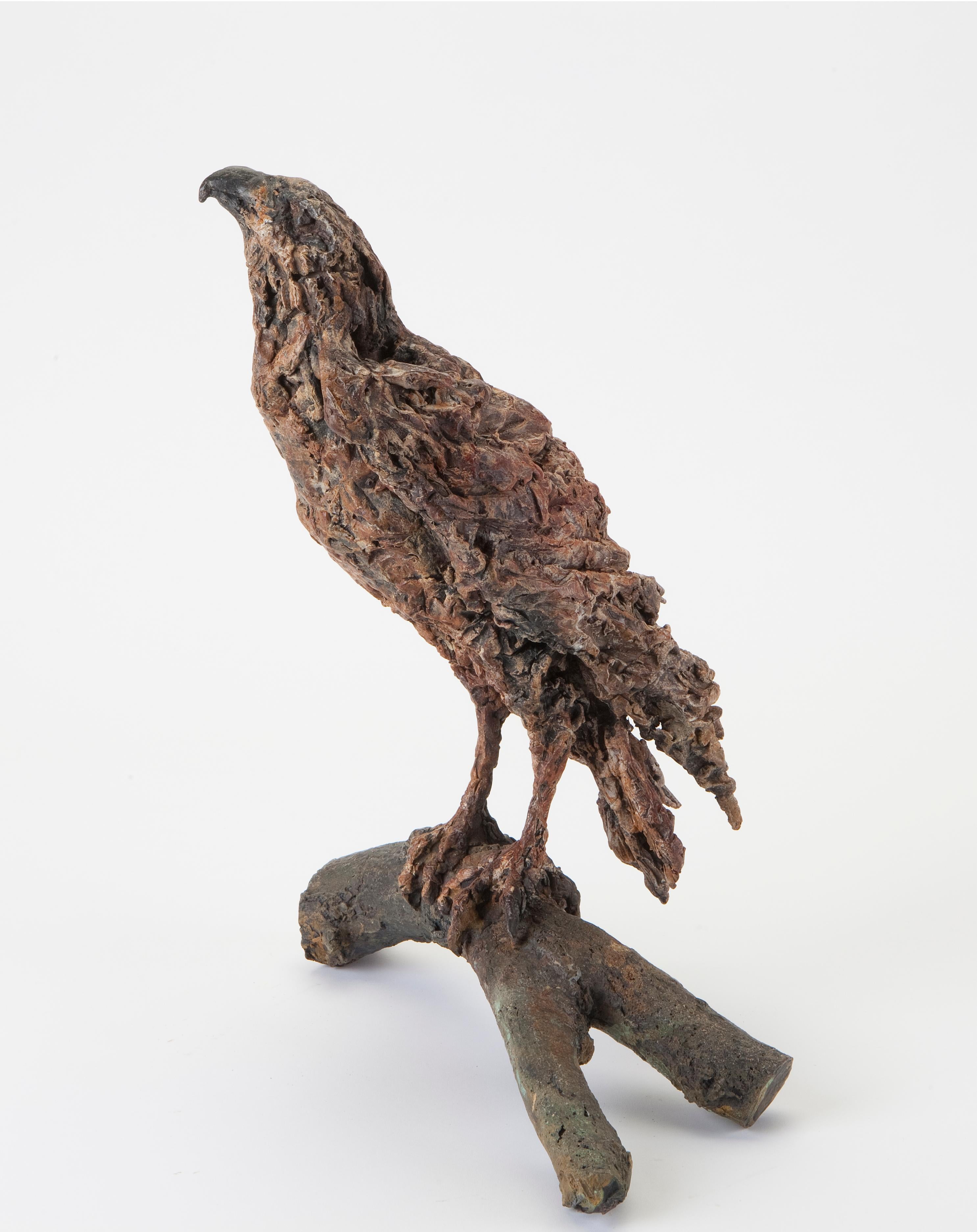 ''Contemplación'', Escultura contemporánea de bronce Retrato de un buitre sobre una rama en venta 2