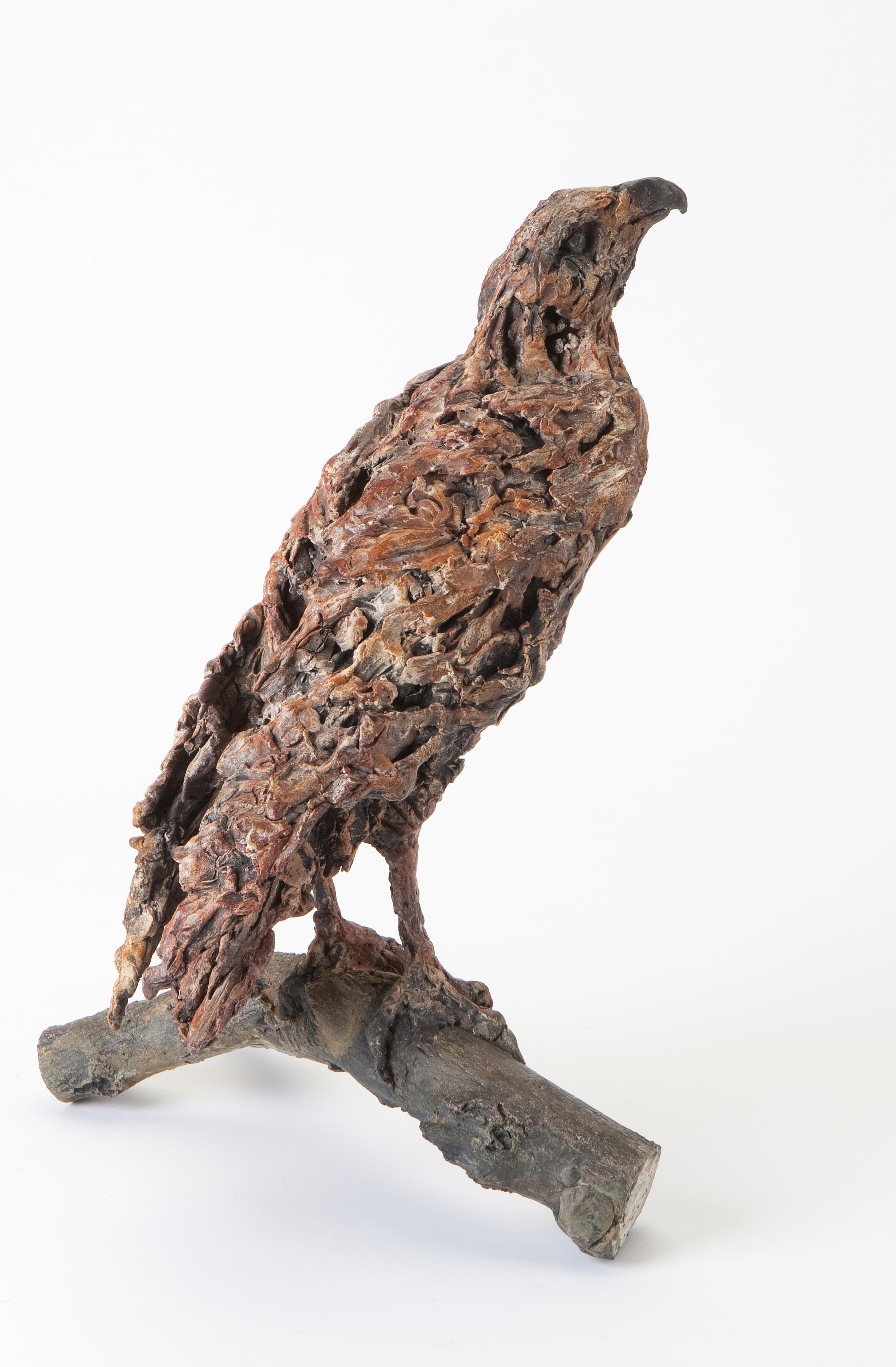 ''Contemplación'', Escultura contemporánea de bronce Retrato de un buitre sobre una rama en venta 3