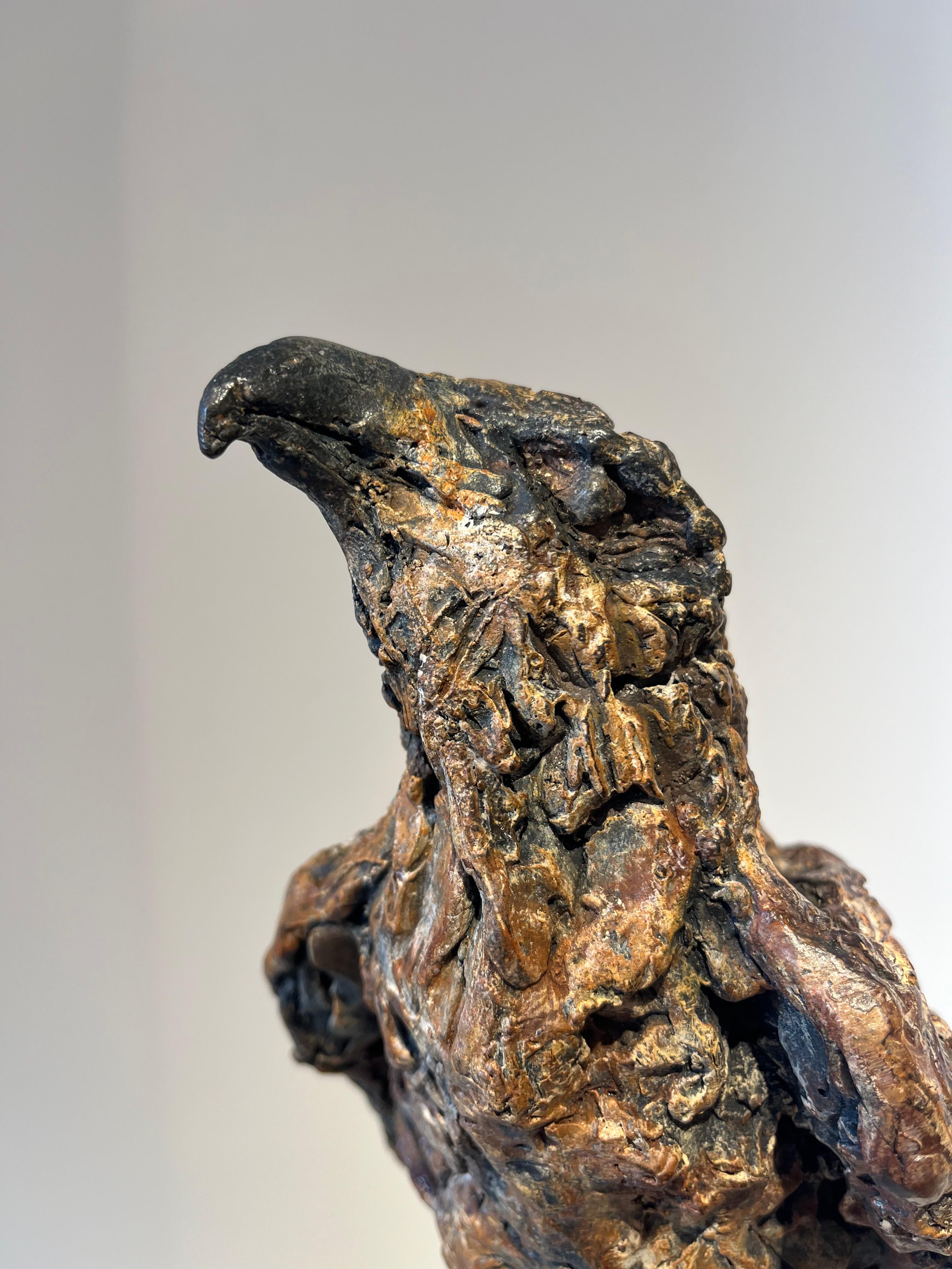 ''Contemplación'', Escultura contemporánea de bronce Retrato de un buitre sobre una rama en venta 5