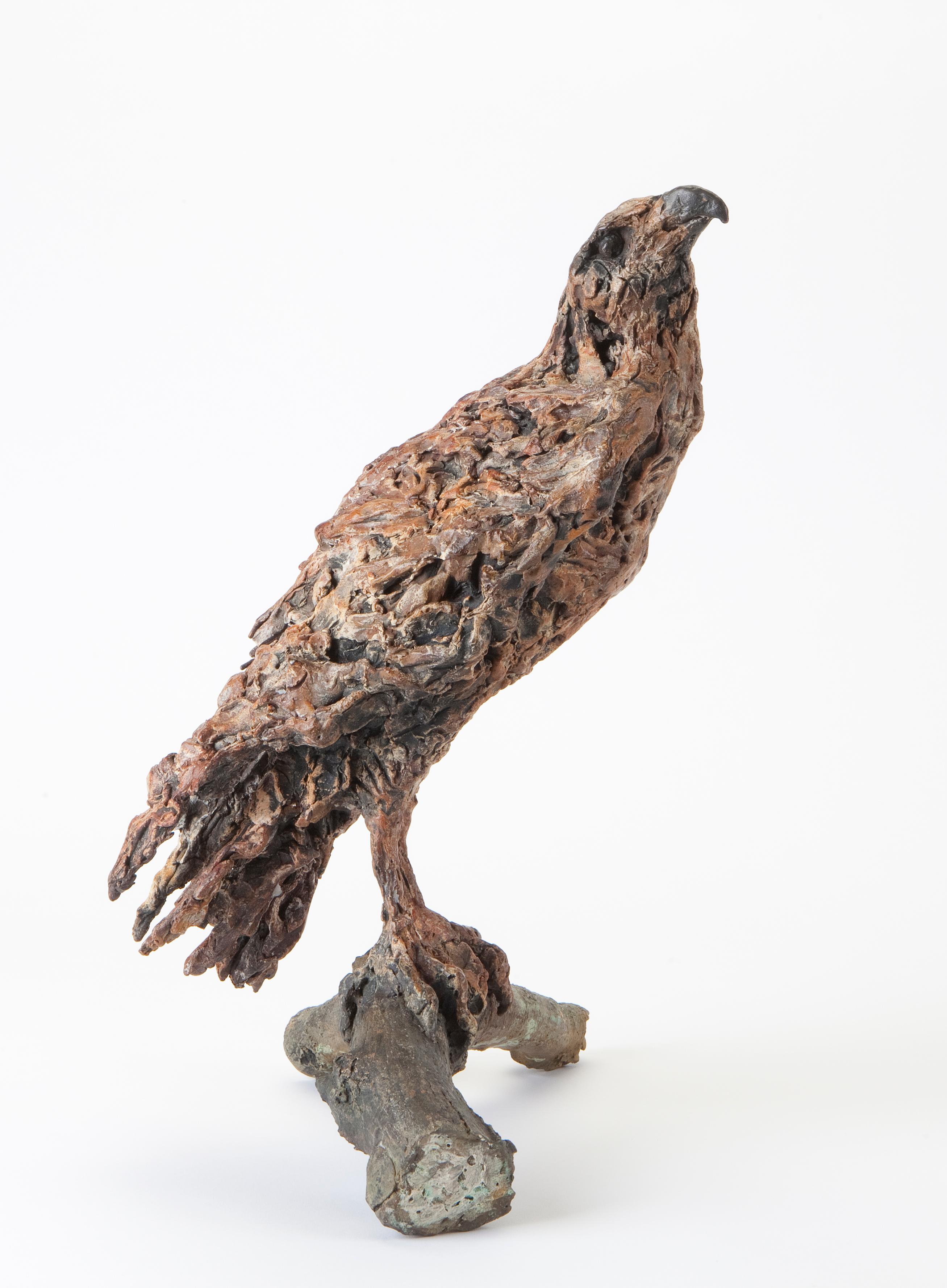''Contemplación'', Escultura contemporánea de bronce Retrato de un buitre sobre una rama - Sculpture de Ans Zondag