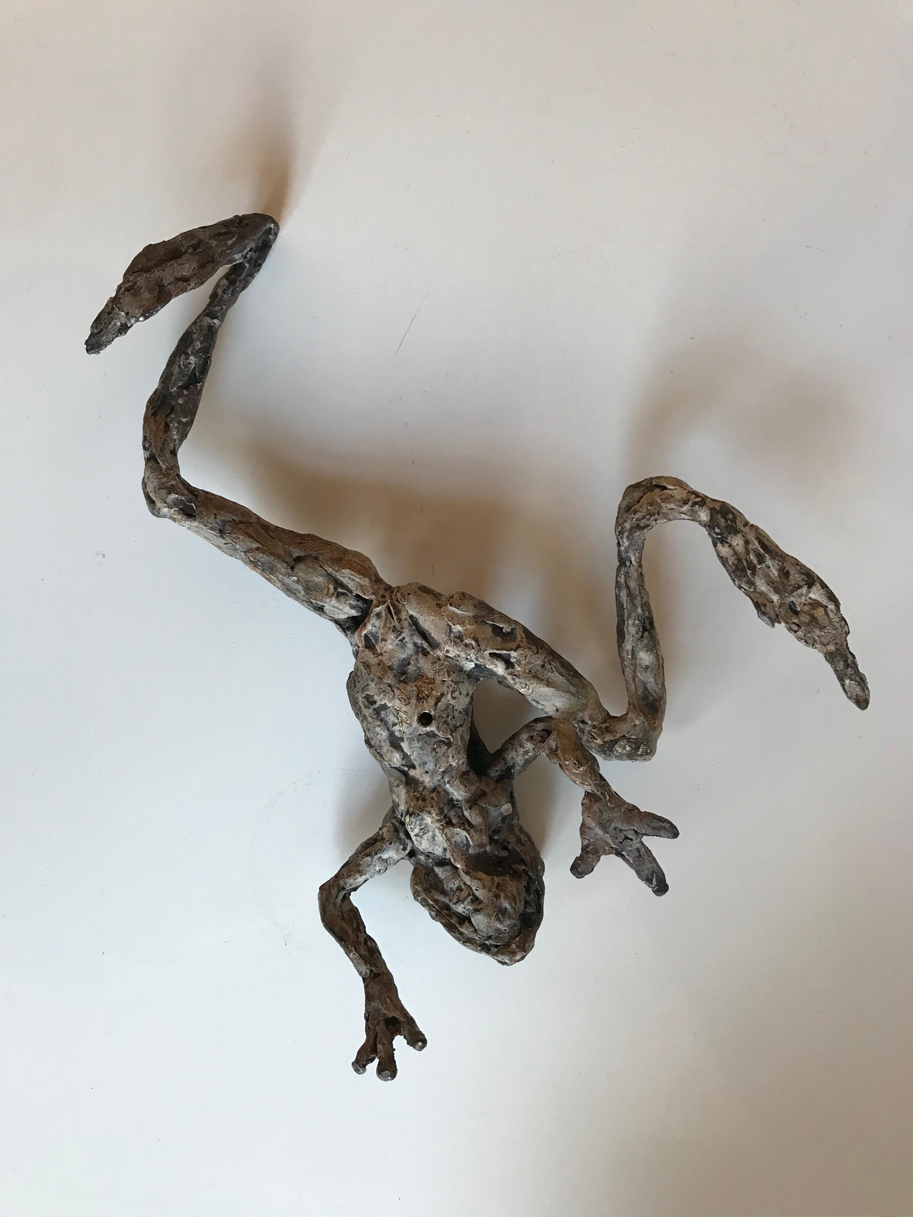 ''Crawling Frog'', Contemporary Bronze Sculpture Portrait of a Frog For Sale 6
